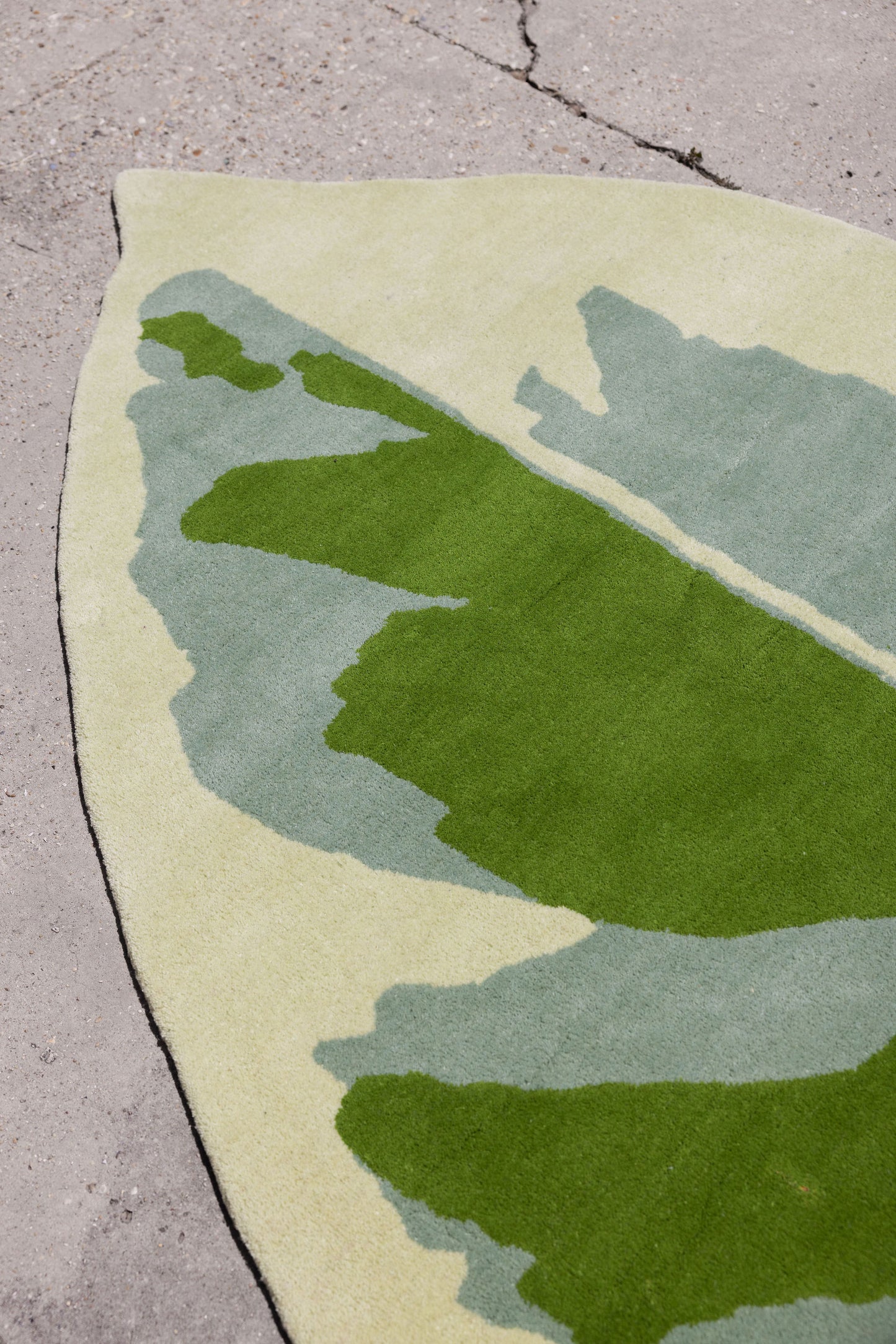Leaf Rug 6 image 4