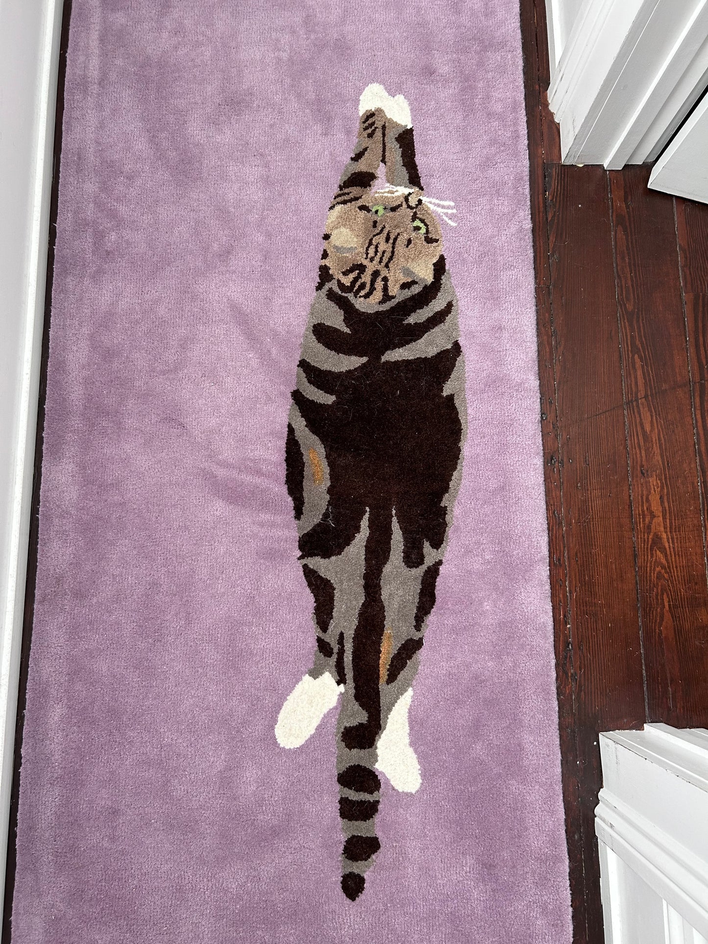 Cat Runner image 0