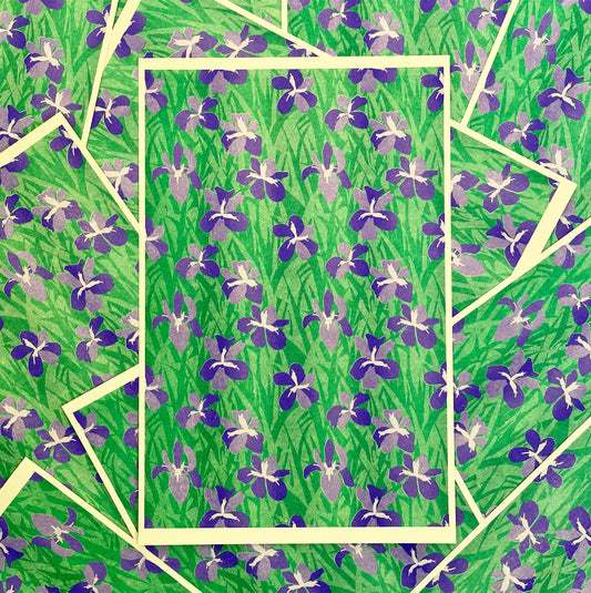 Louisiana Iris Print image 1