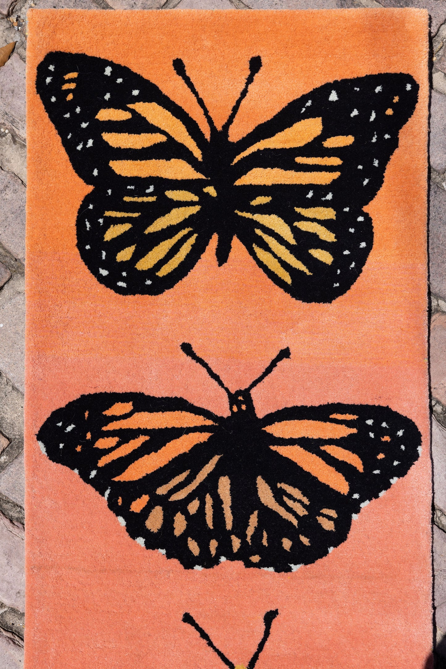 Butterfly Runner image 9