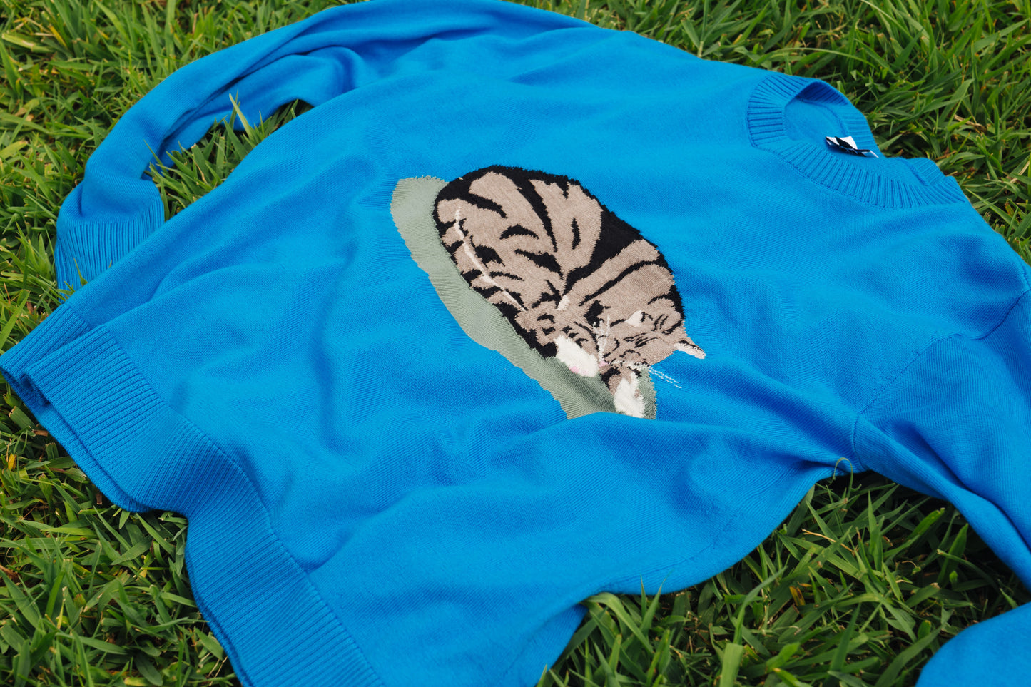 Knitwear Design #5 Cat