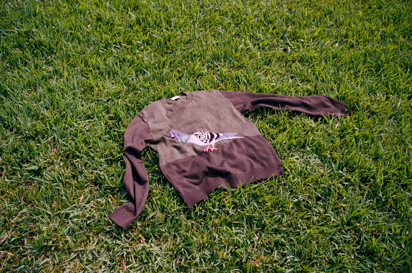 Knitwear Design #3 Pigeon
