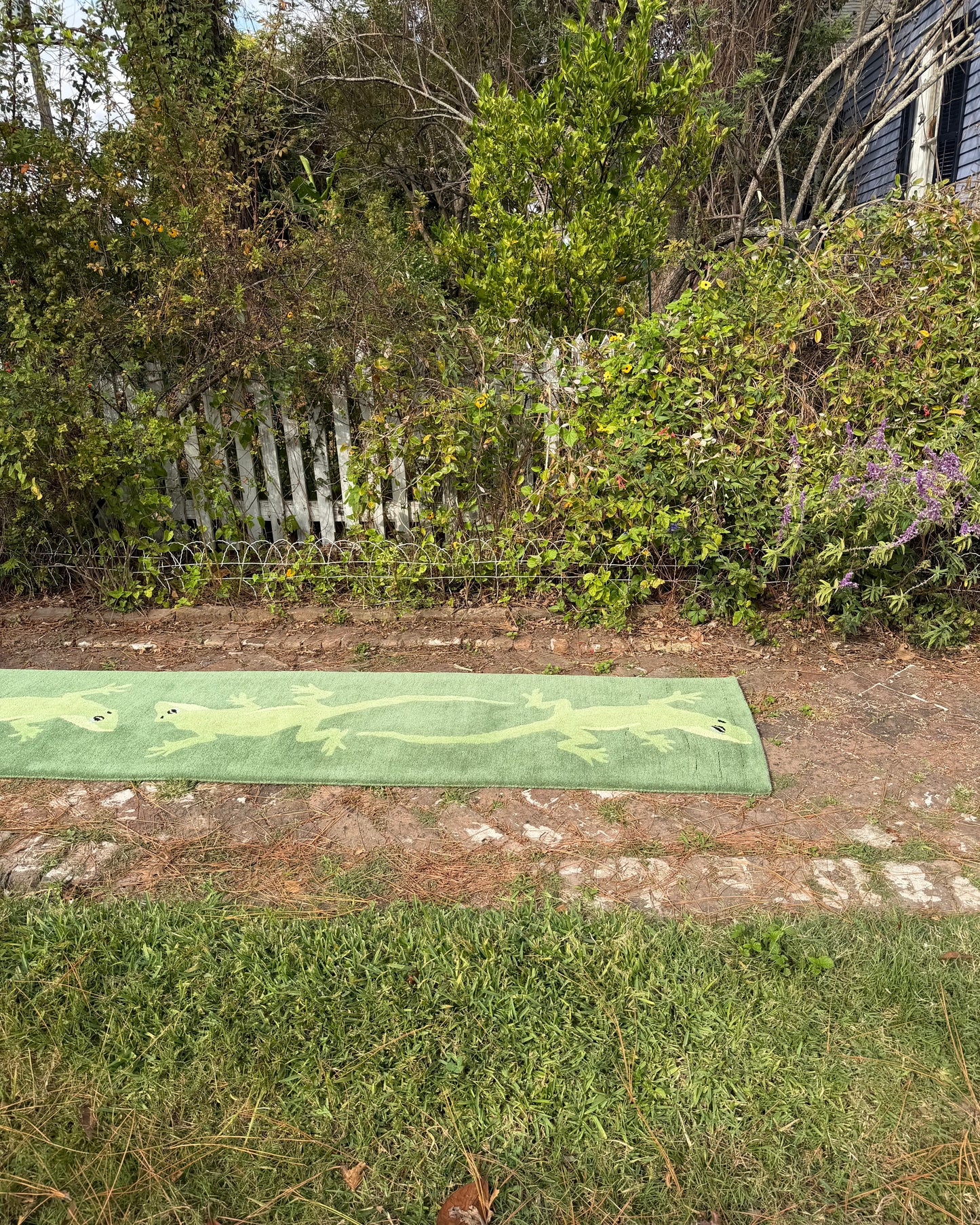 Anole Rug