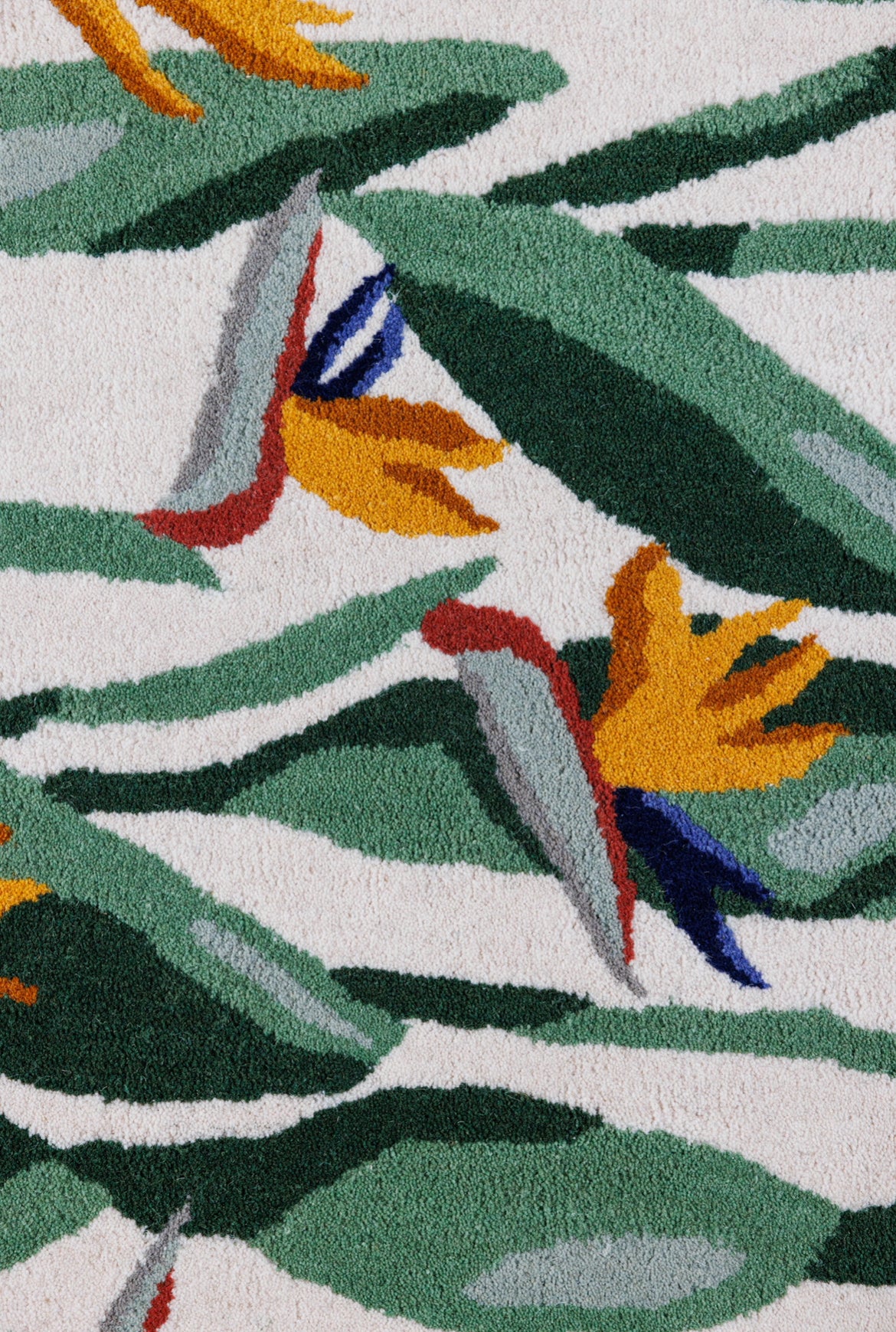Bird of Paradise Runner