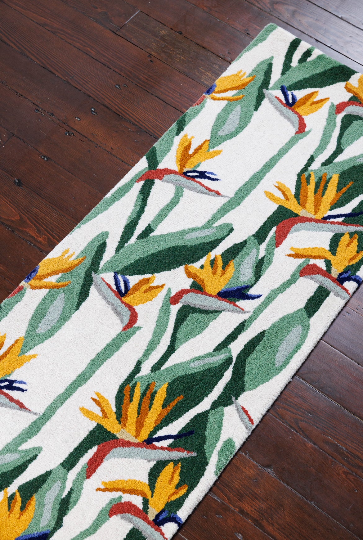 Bird of Paradise Runner