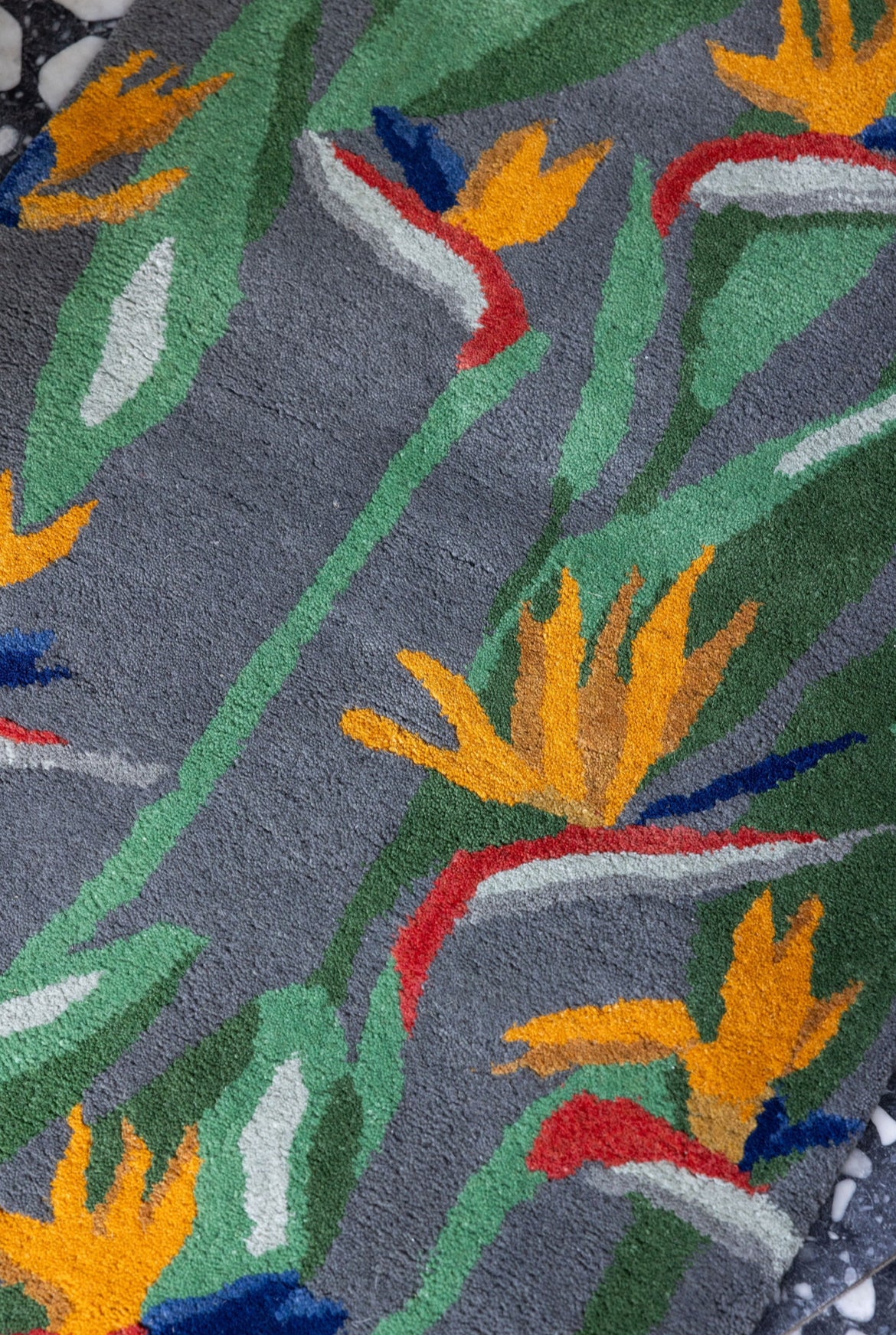 Bird of Paradise Runner