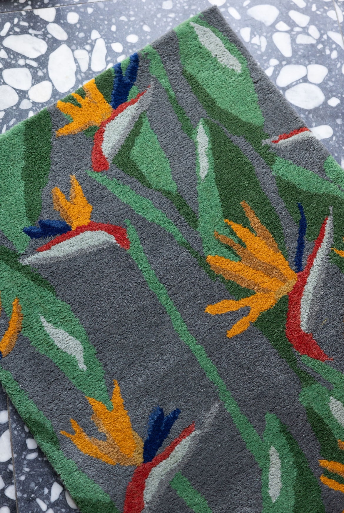 Bird of Paradise Runner