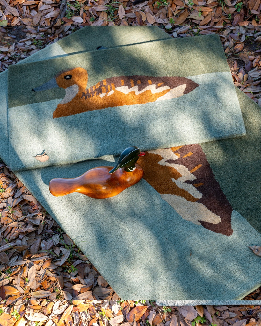 Fulvous Whistling Duck Wholesale