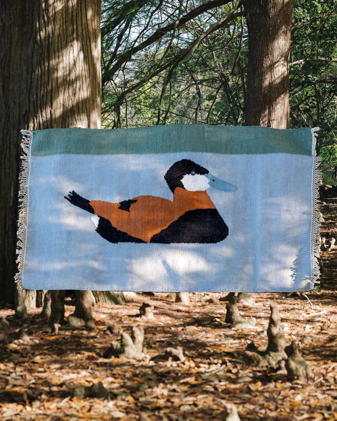 Ruddy Duck Rug