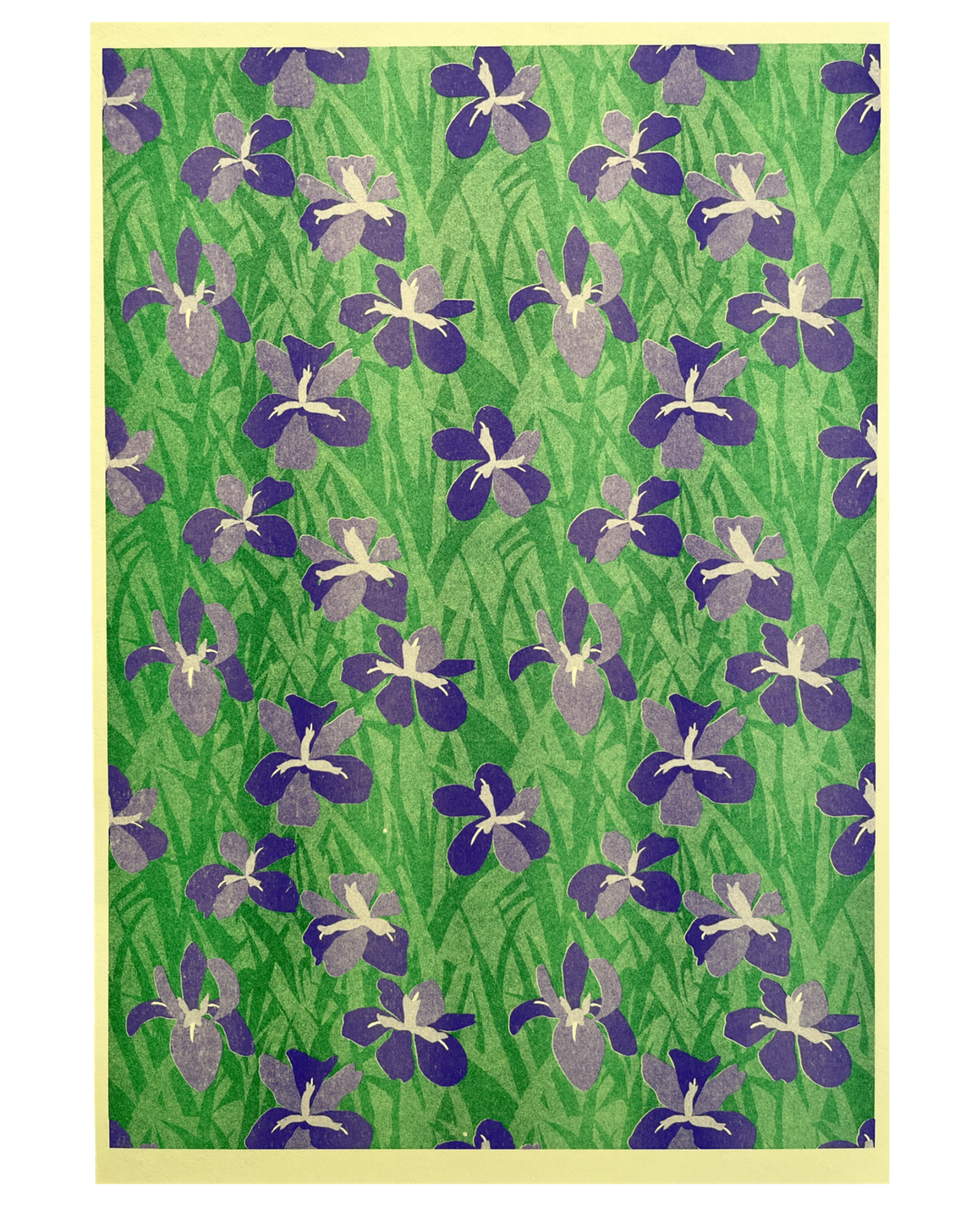 Louisiana Iris Print