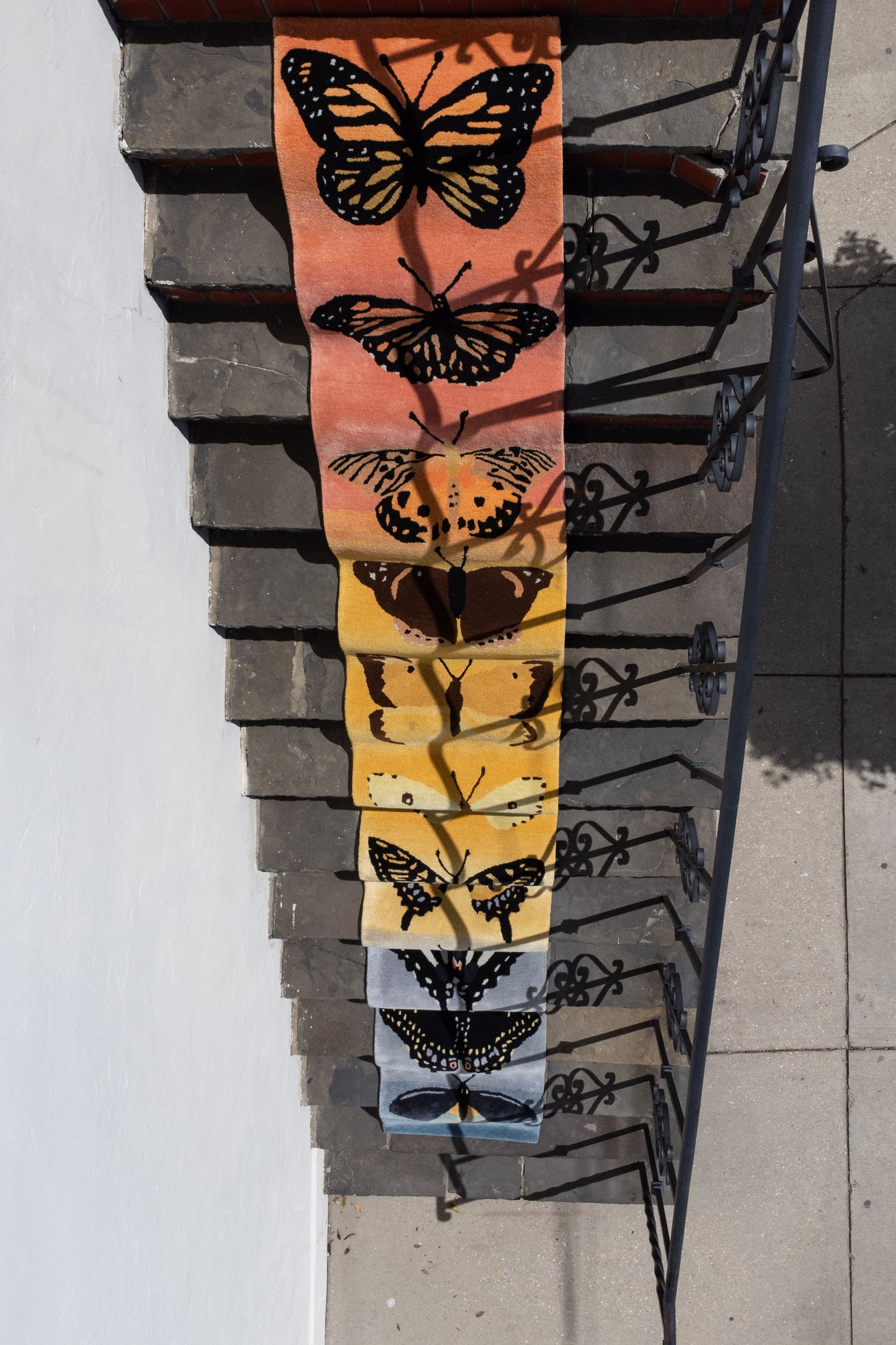 Butterfly Runner image 11