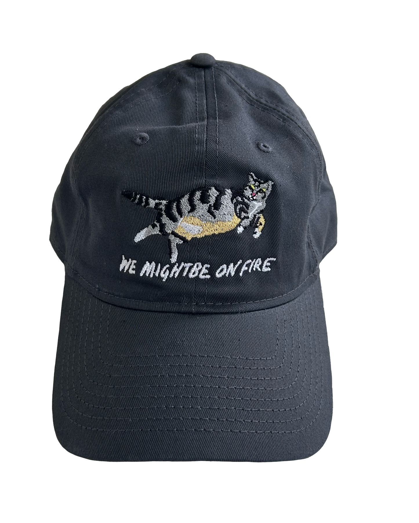 Cat Hat PRE ORDER image 0