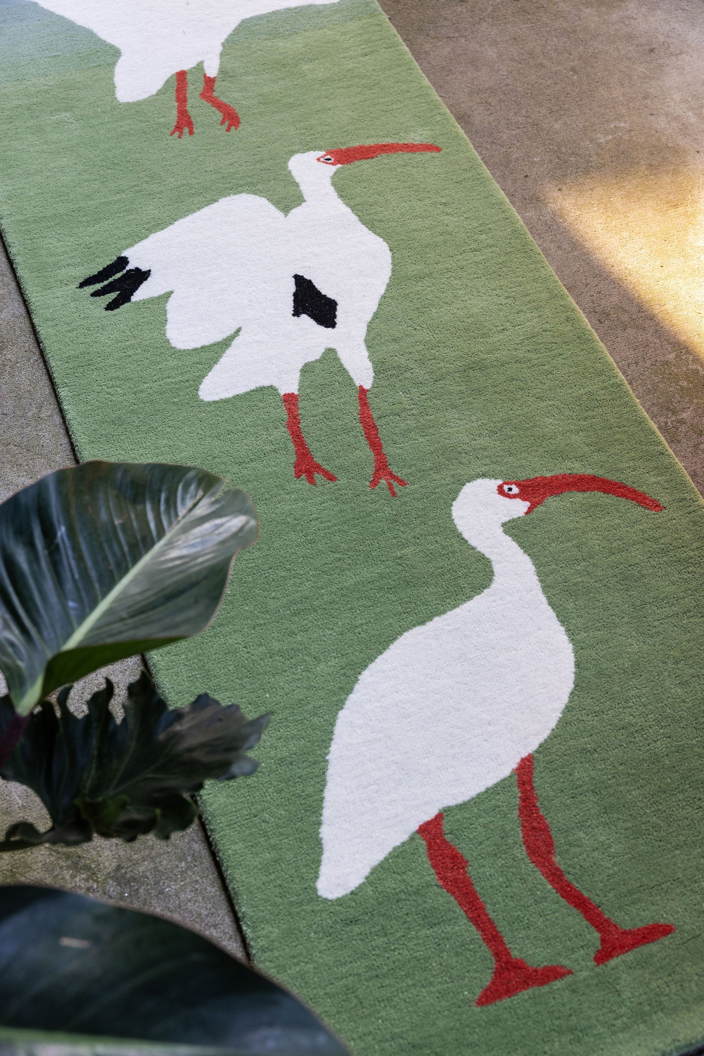 Ibis Runner image 2