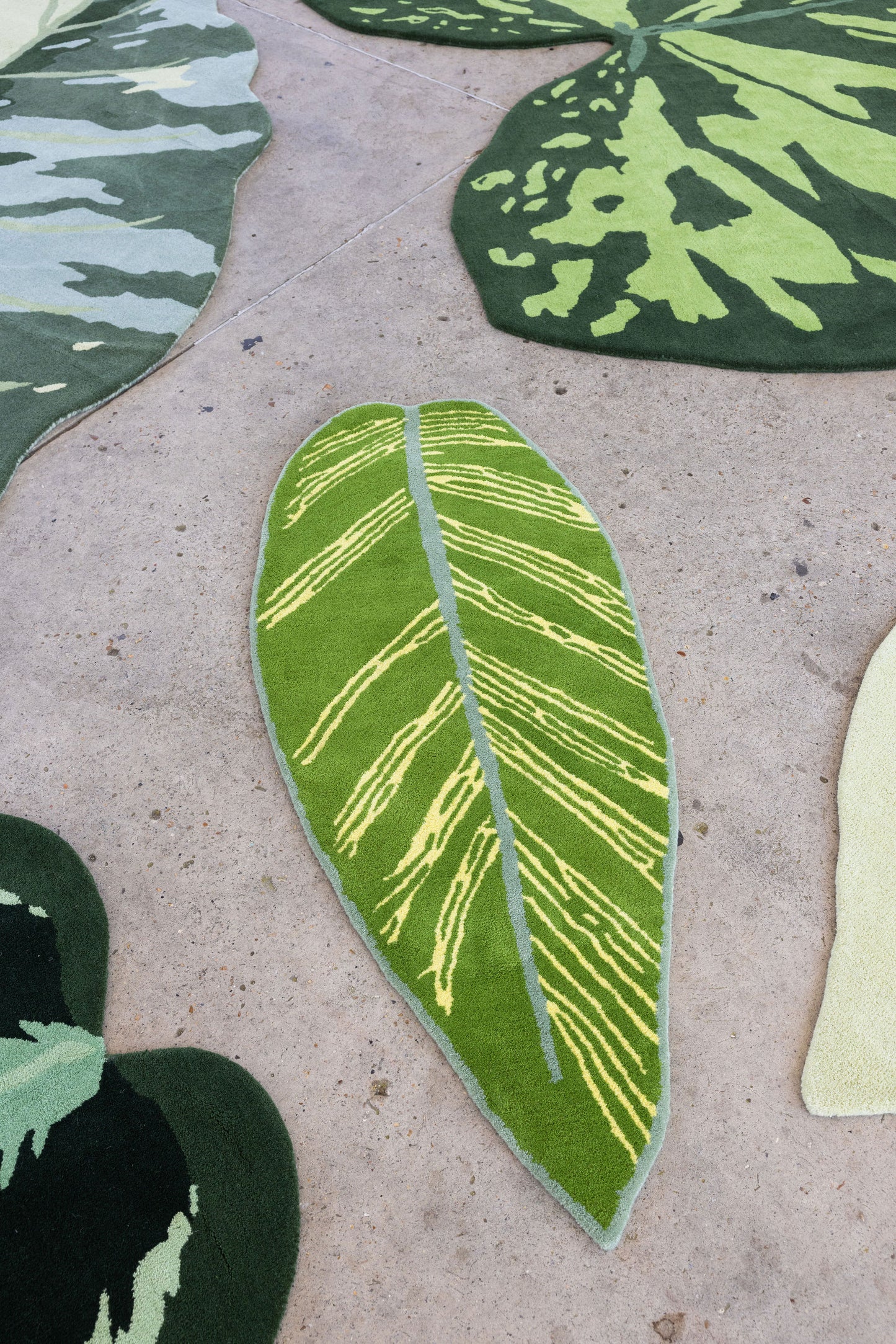 Leaf Rug 5 image 4