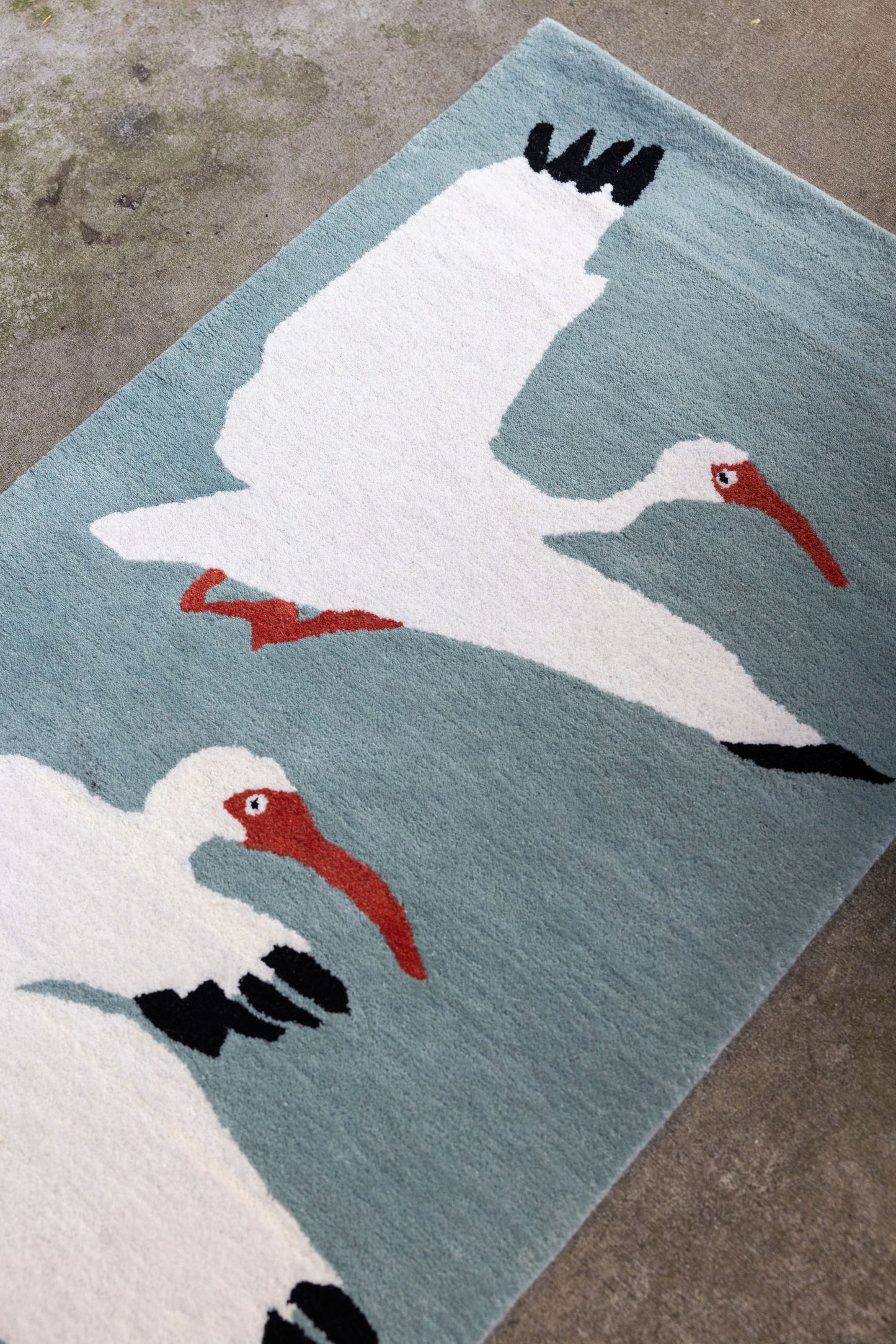 Ibis Runner image 1