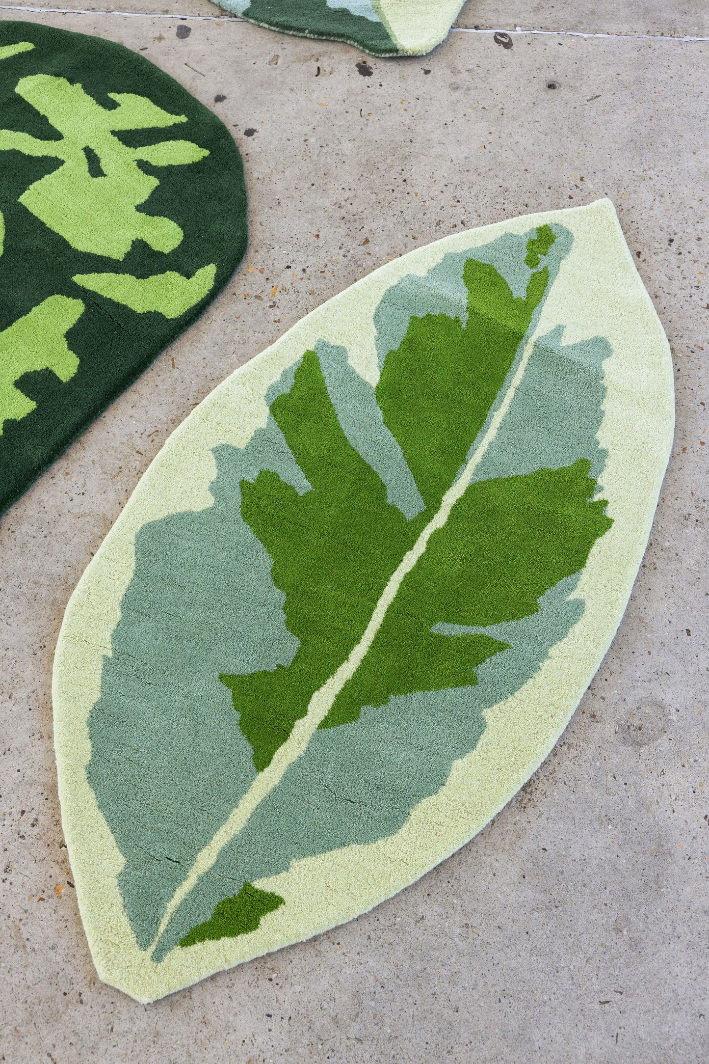 Leaf Rug 6 image 5