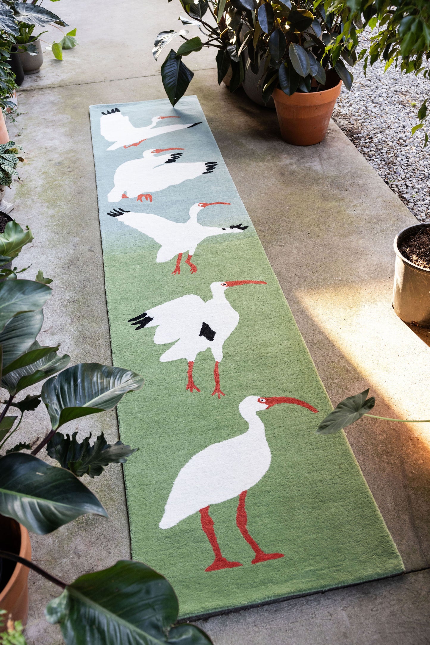 Ibis Runner image 3