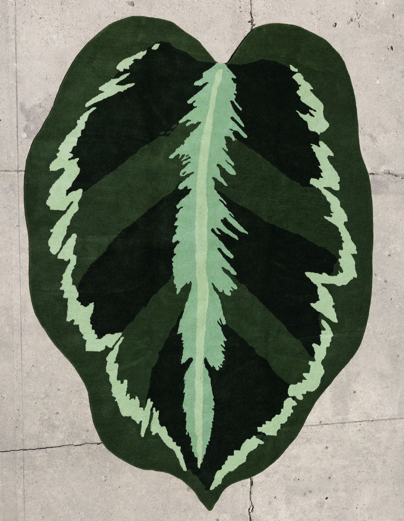Leaf Rug 7 image 0