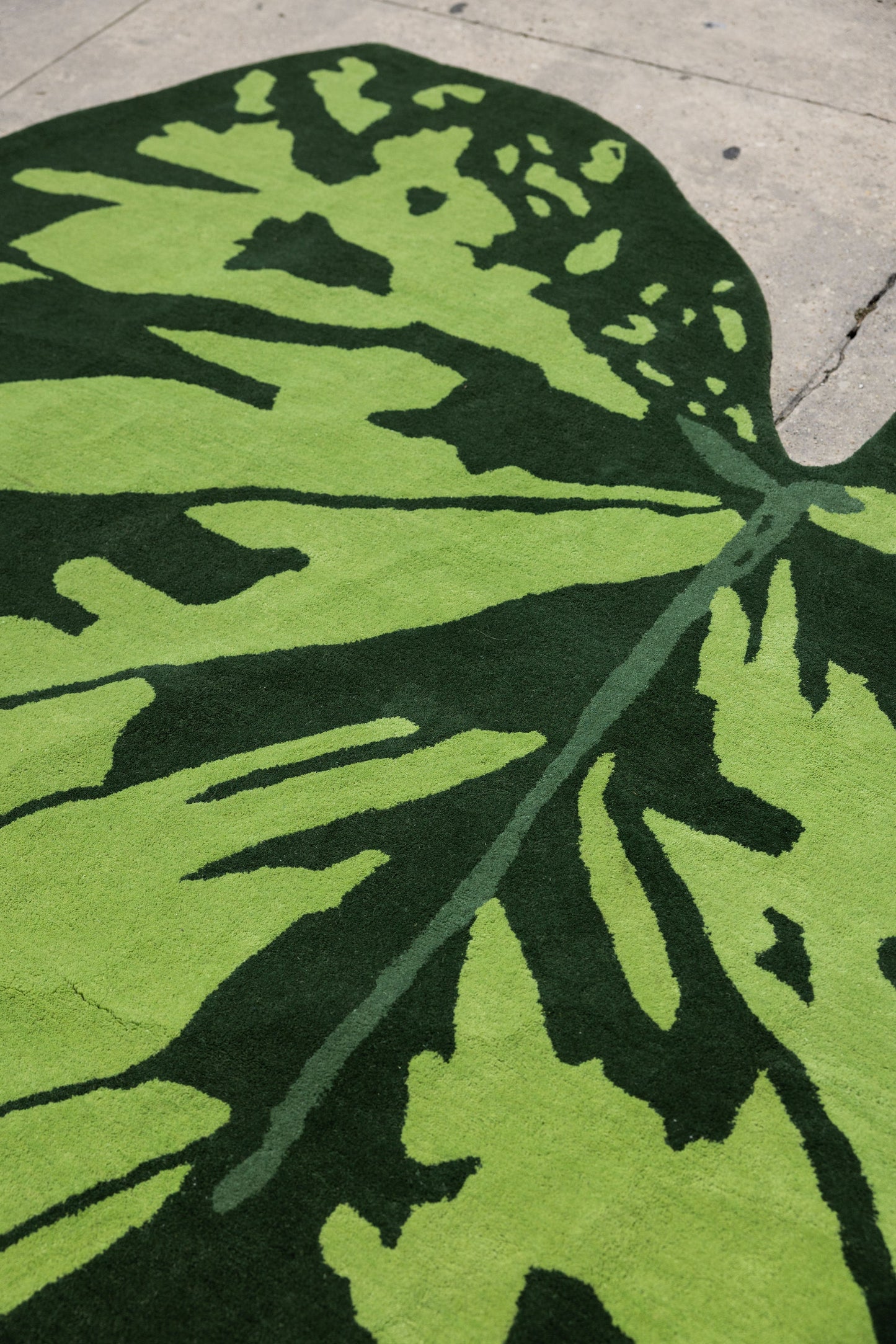 Leaf Rug 4 image 3