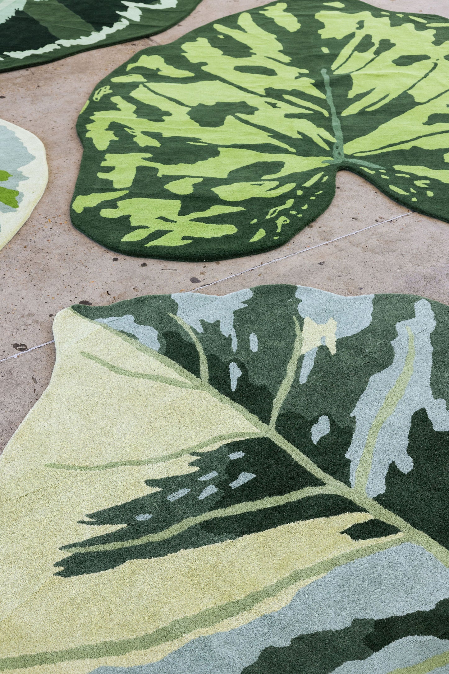 Leaf Rug 1 image 4