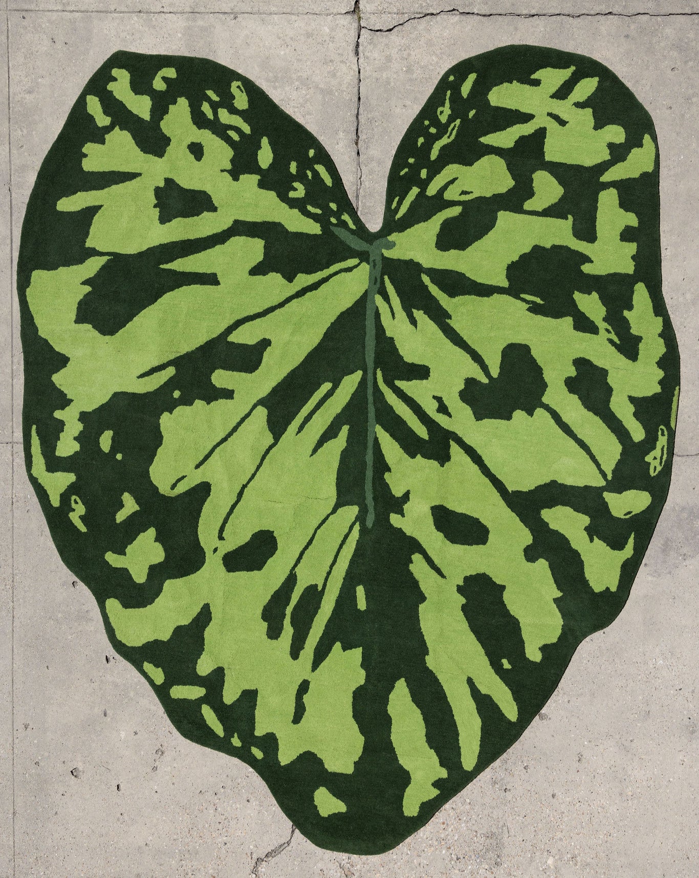 Leaf Rug 4 image 0