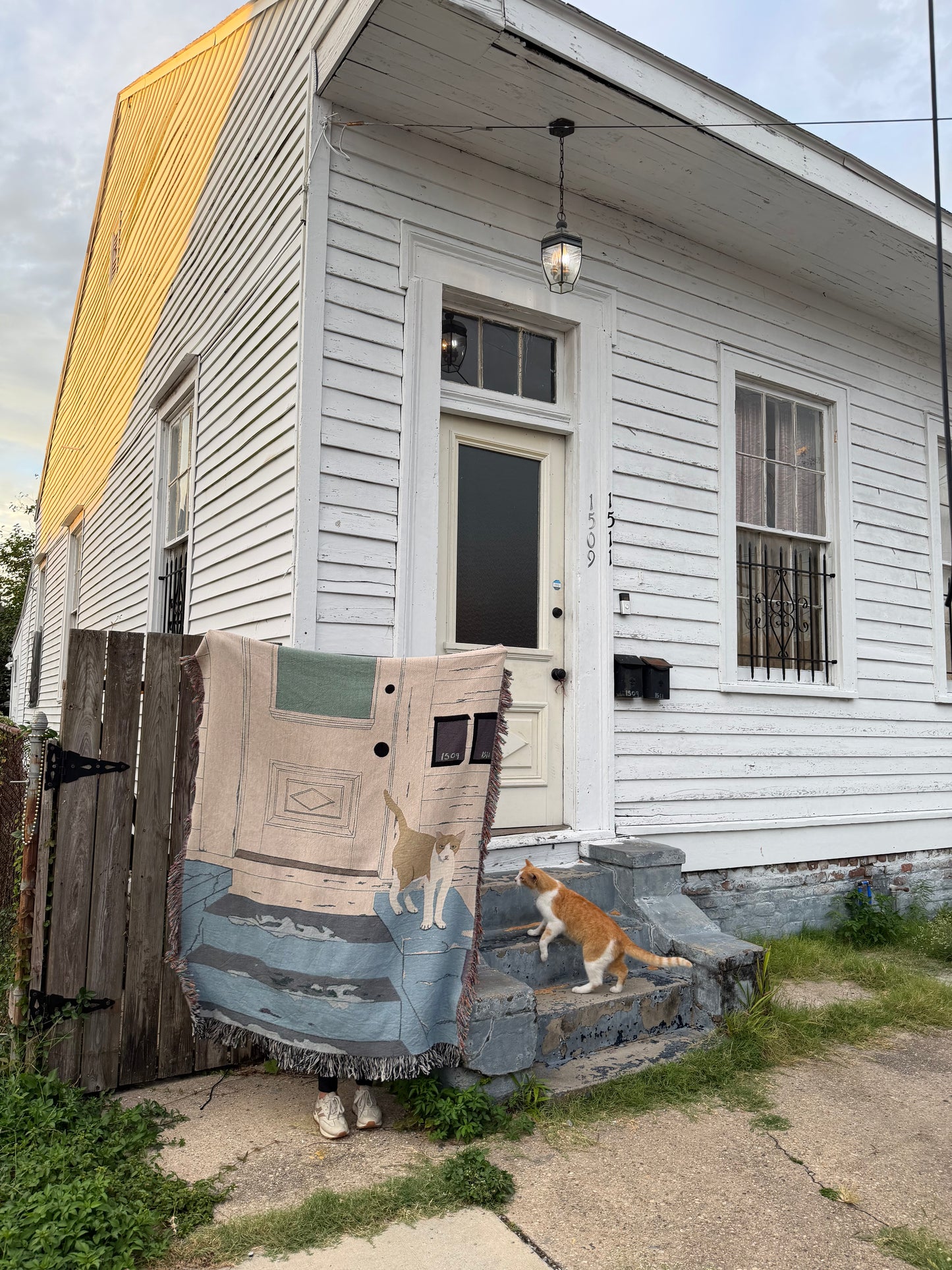 Seventh Ward Porch Cat