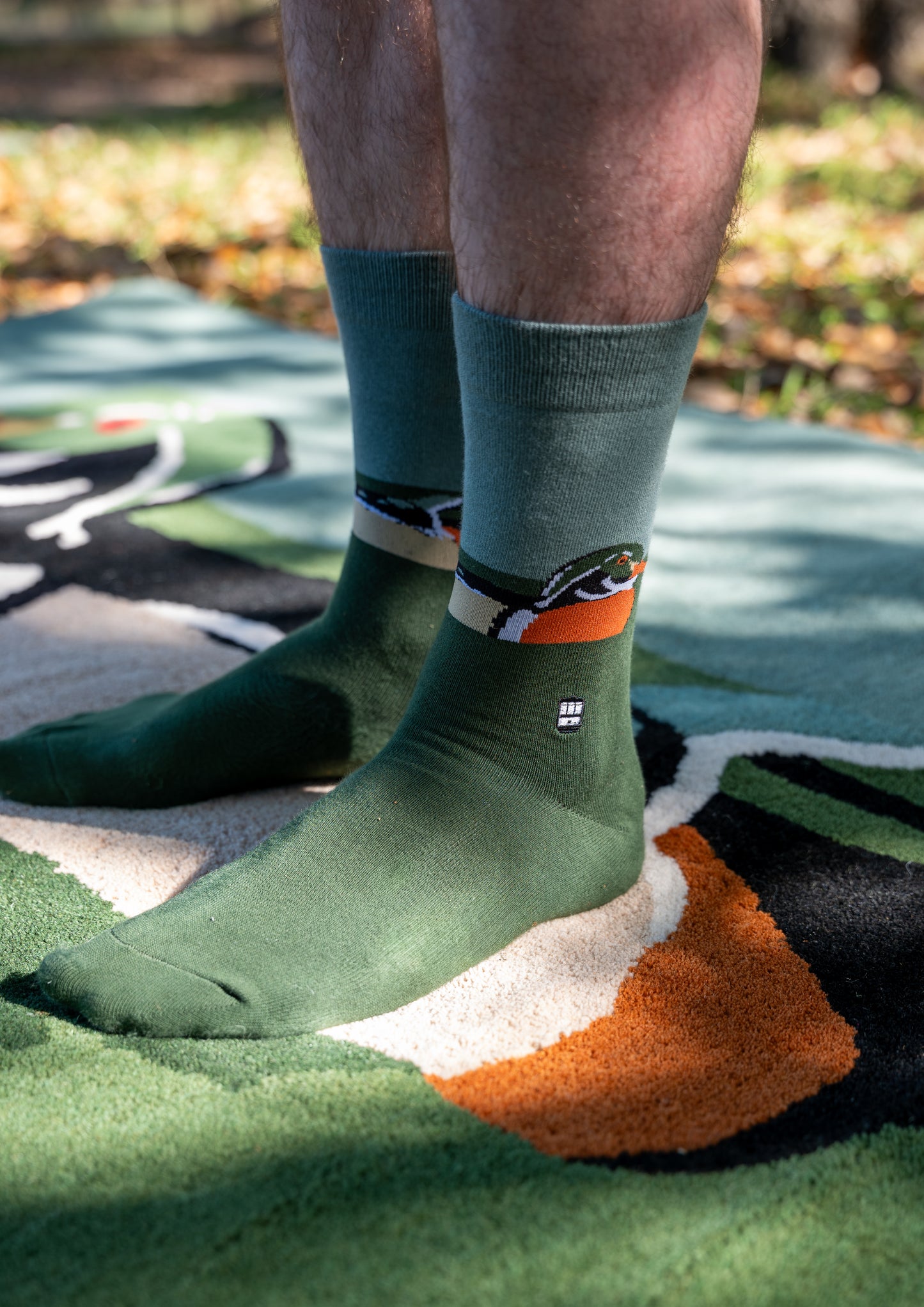 Wood Duck Socks