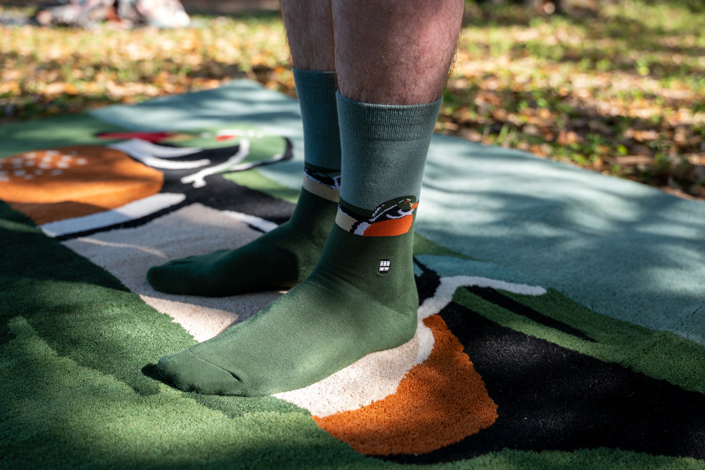 Wood Duck Socks