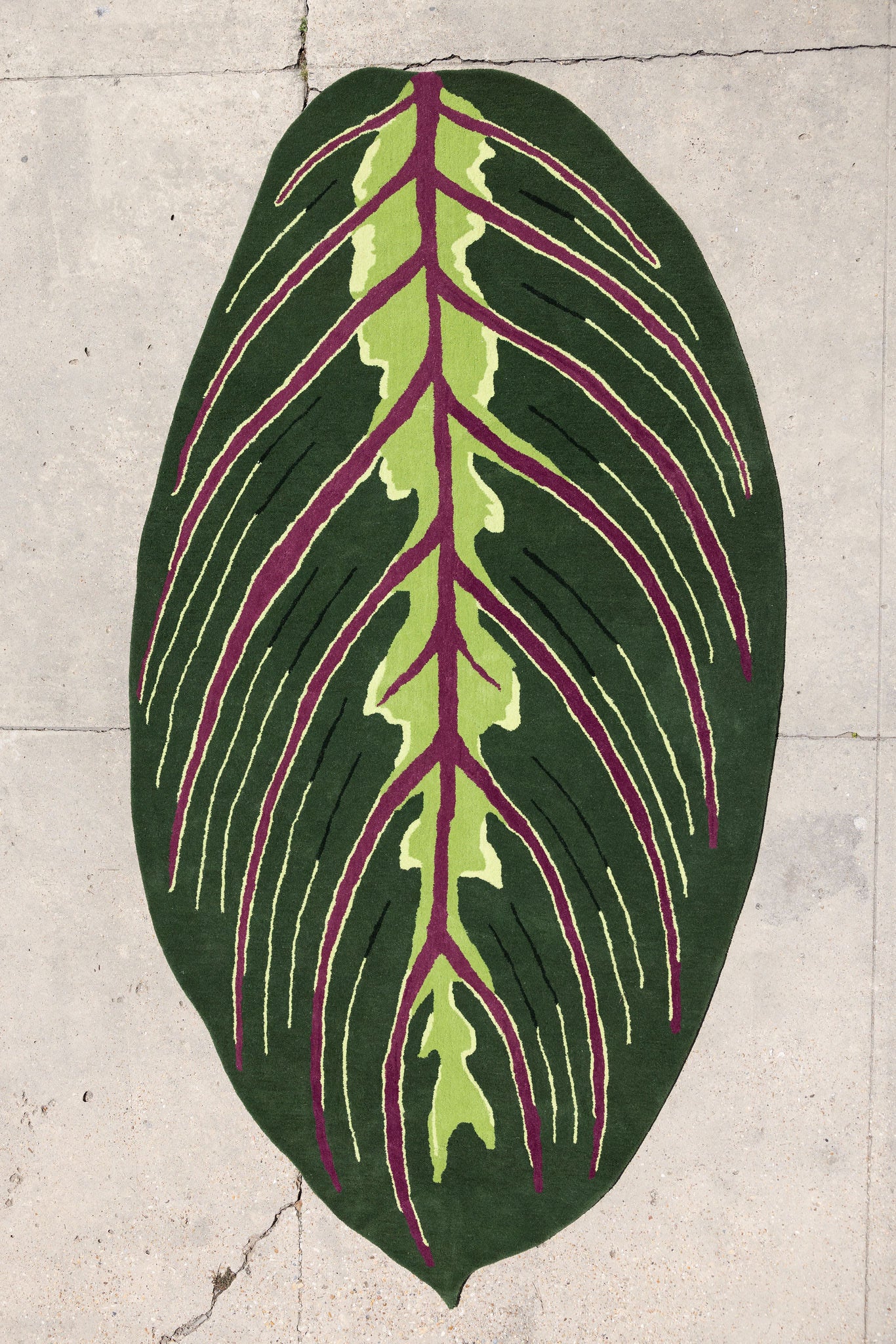 Leaf Rug 2 image 0