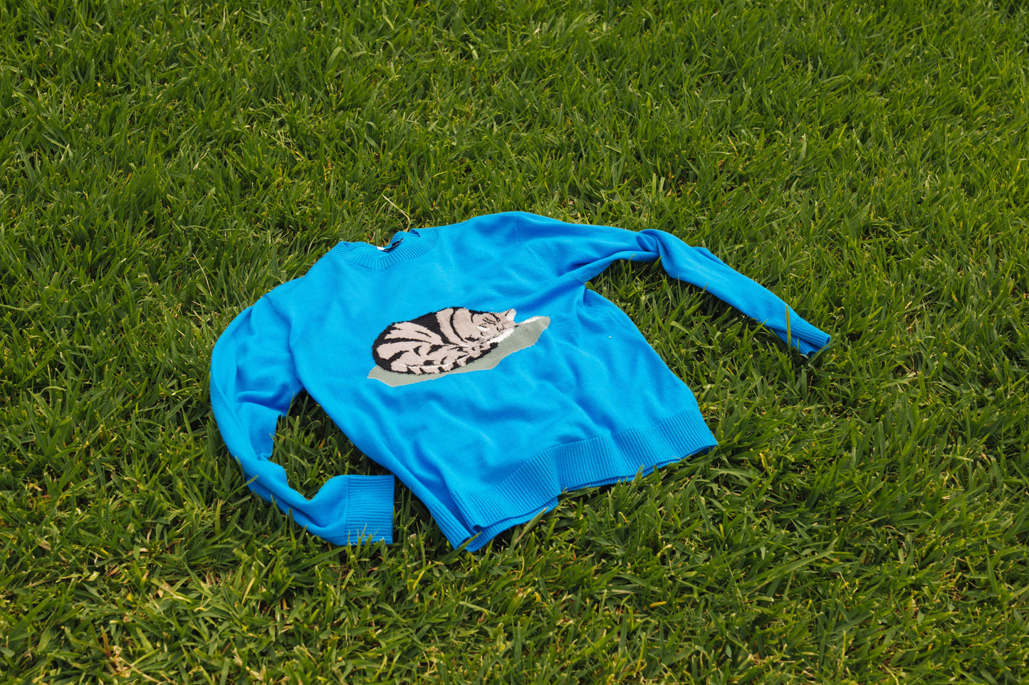 Knitwear Design #5 Cat