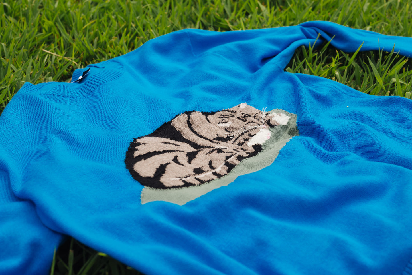 Knitwear Design #5 Cat