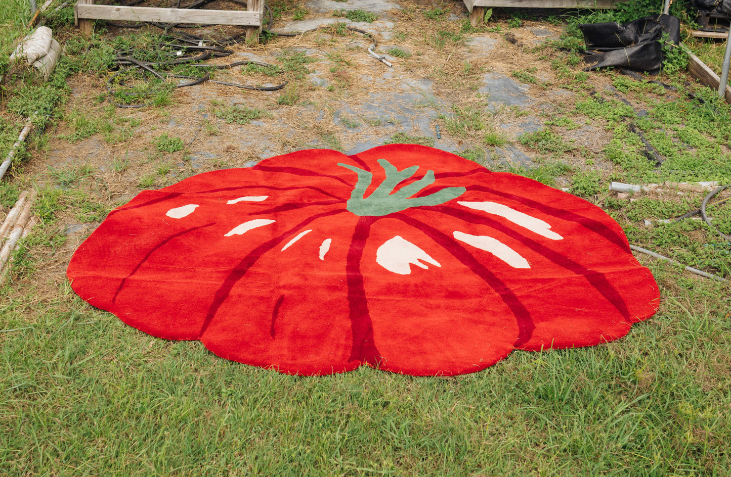 Tomato Rug