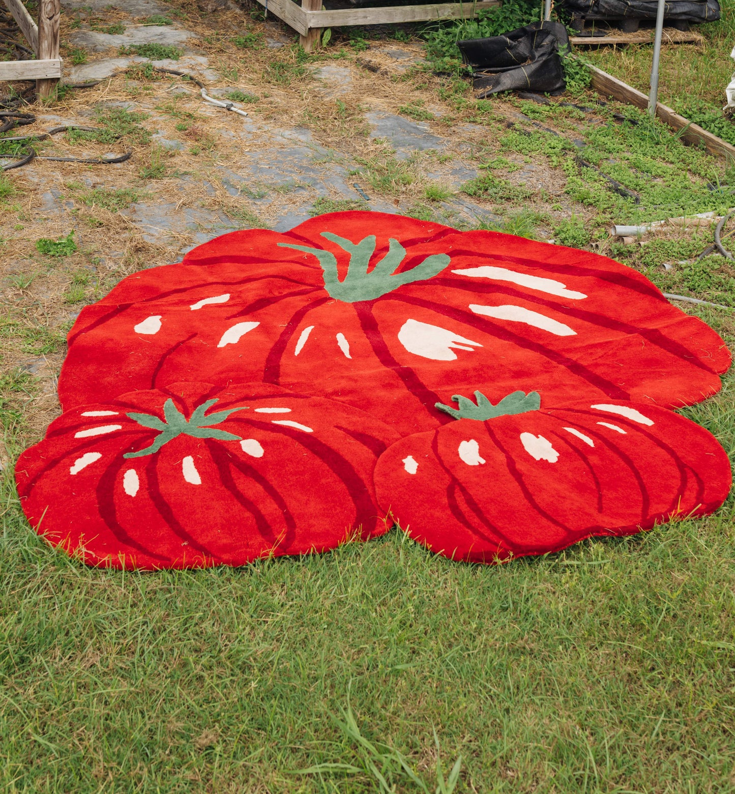 Tomato Rug