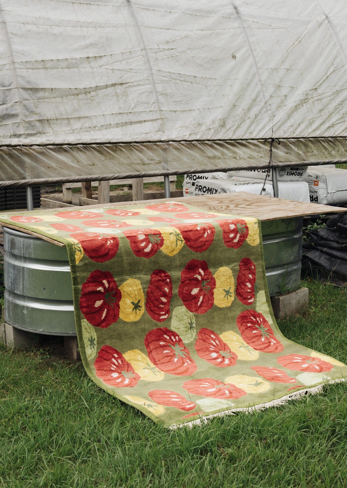 Tomatillo Rugs Tomato Pattern Hand Knotted Rug – We Might be on Fire