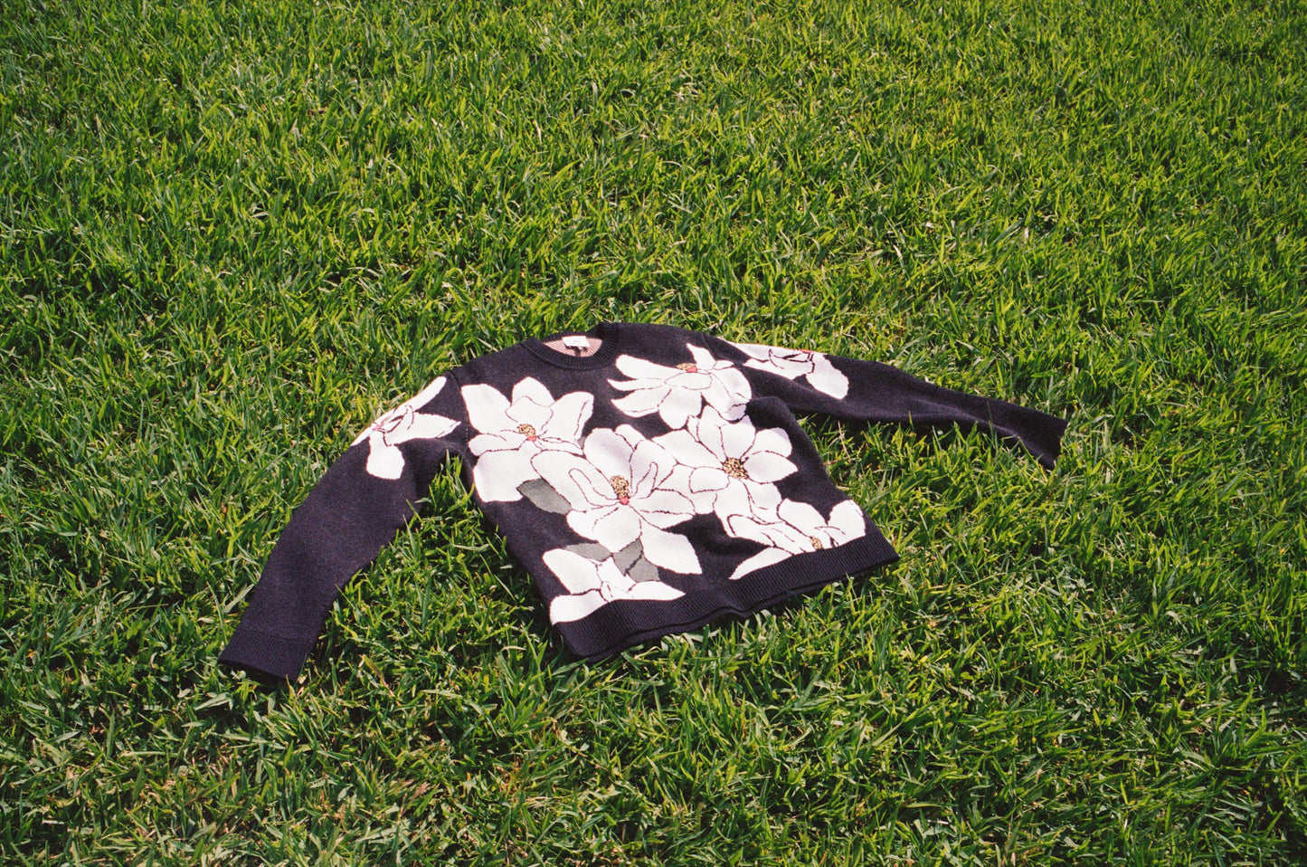 Knitwear Design #2 Magnolia