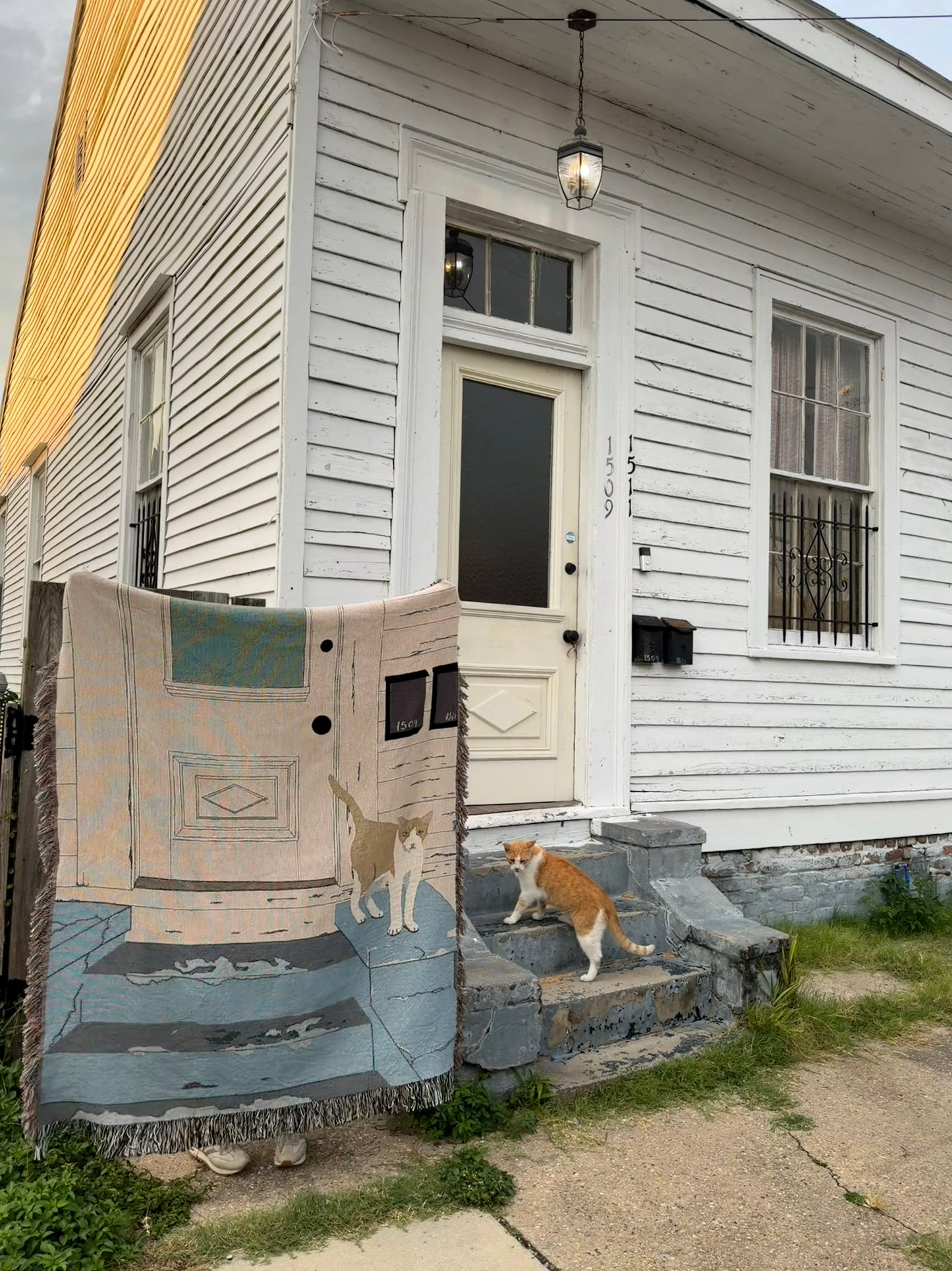 Seventh Ward Porch Cat
