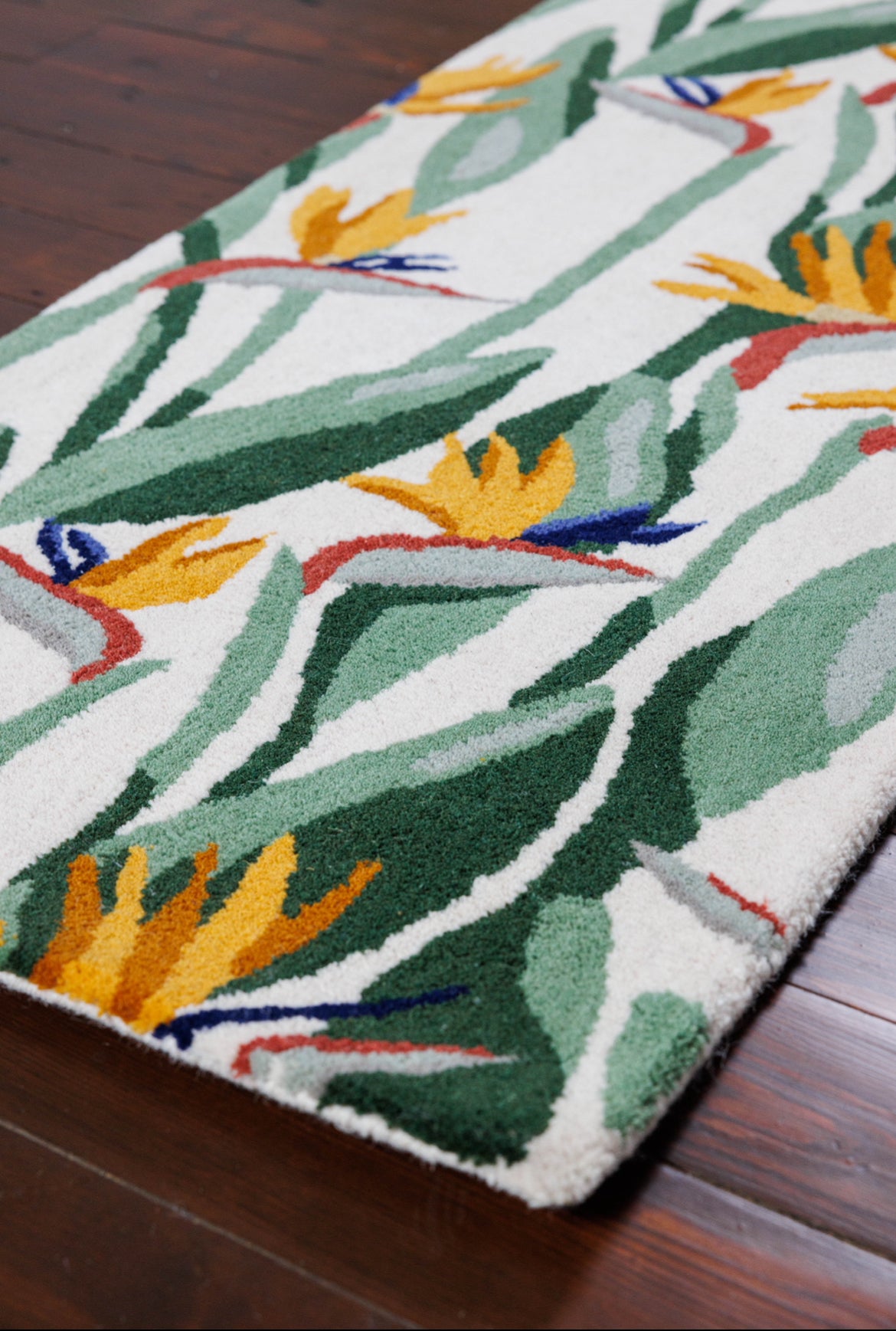 Bird of Paradise Runner