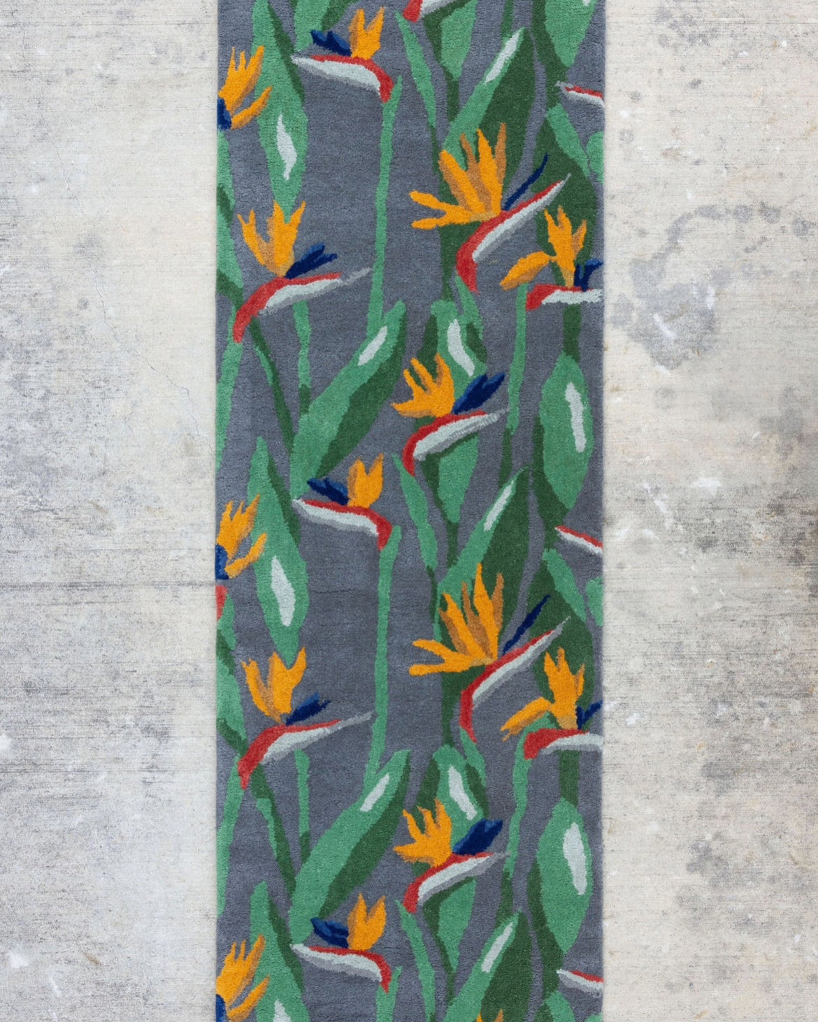 Bird of Paradise Runner