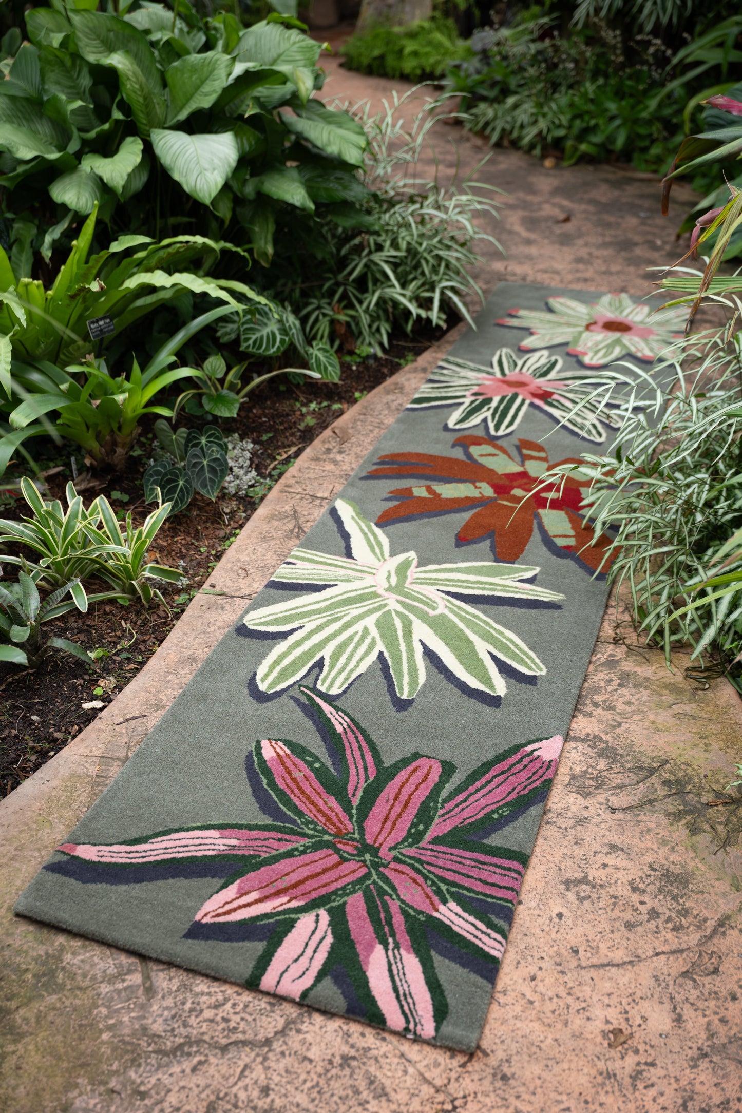 Bromeliad Runner
