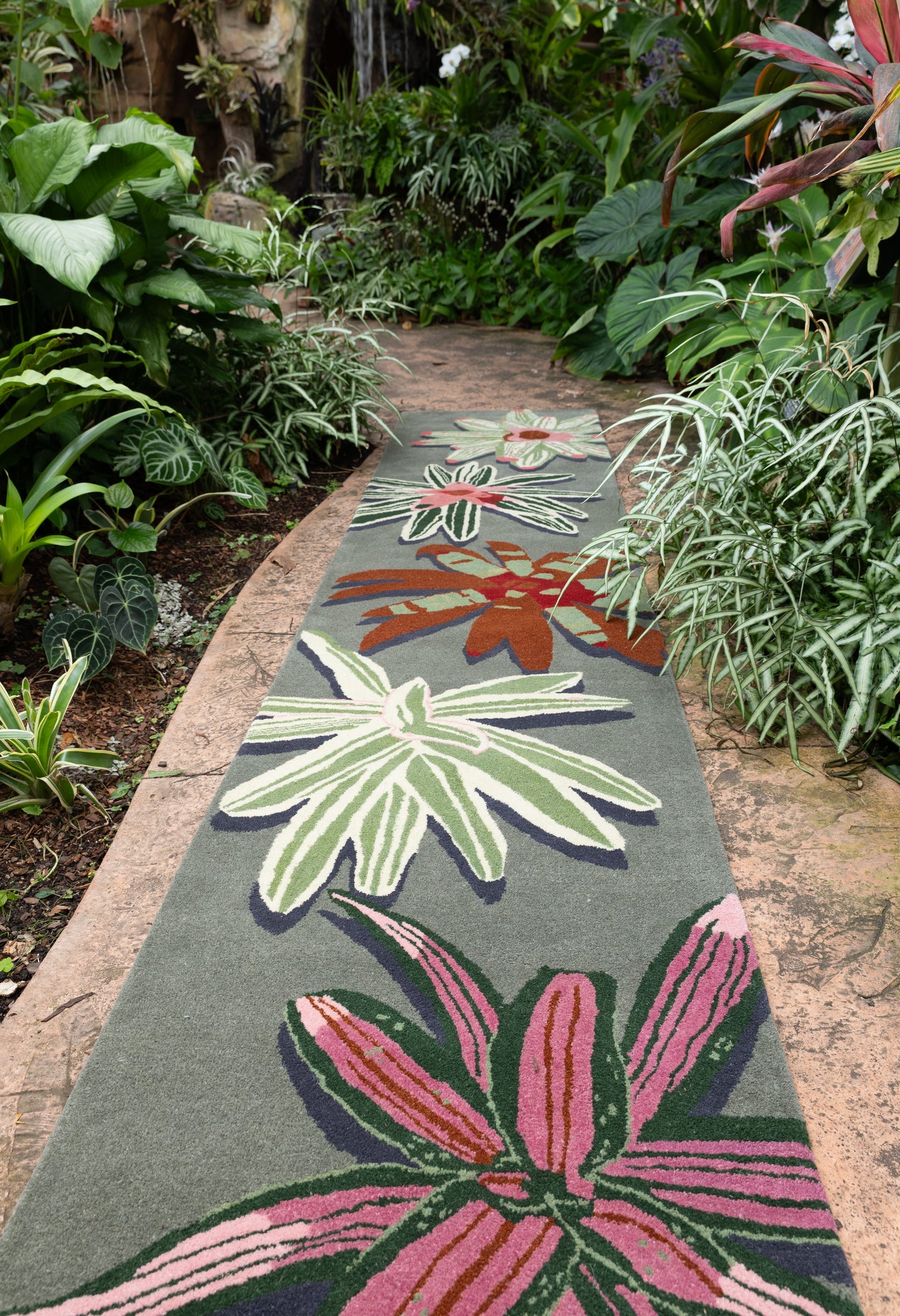 Bromeliad Runner
