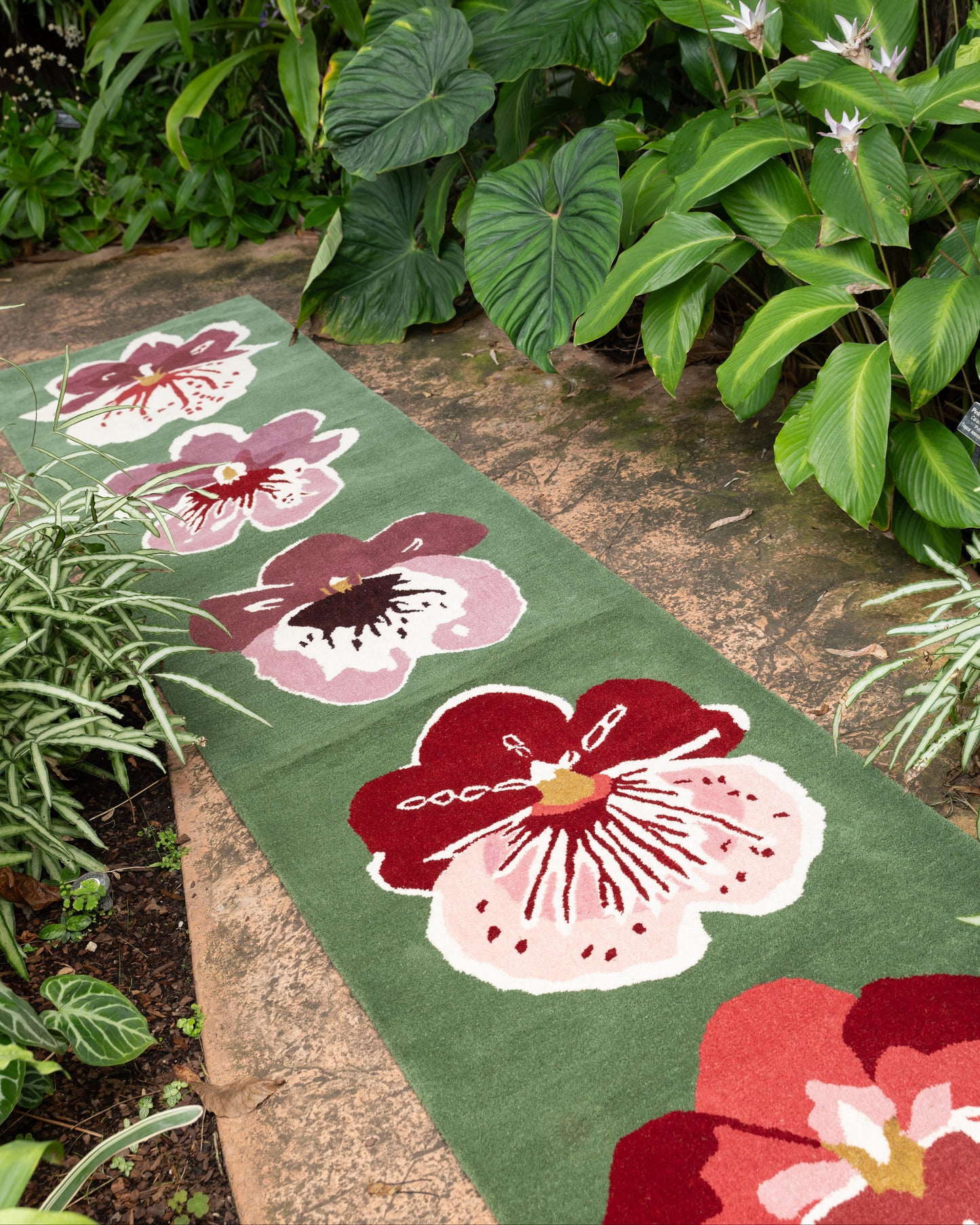 Orchid Runner