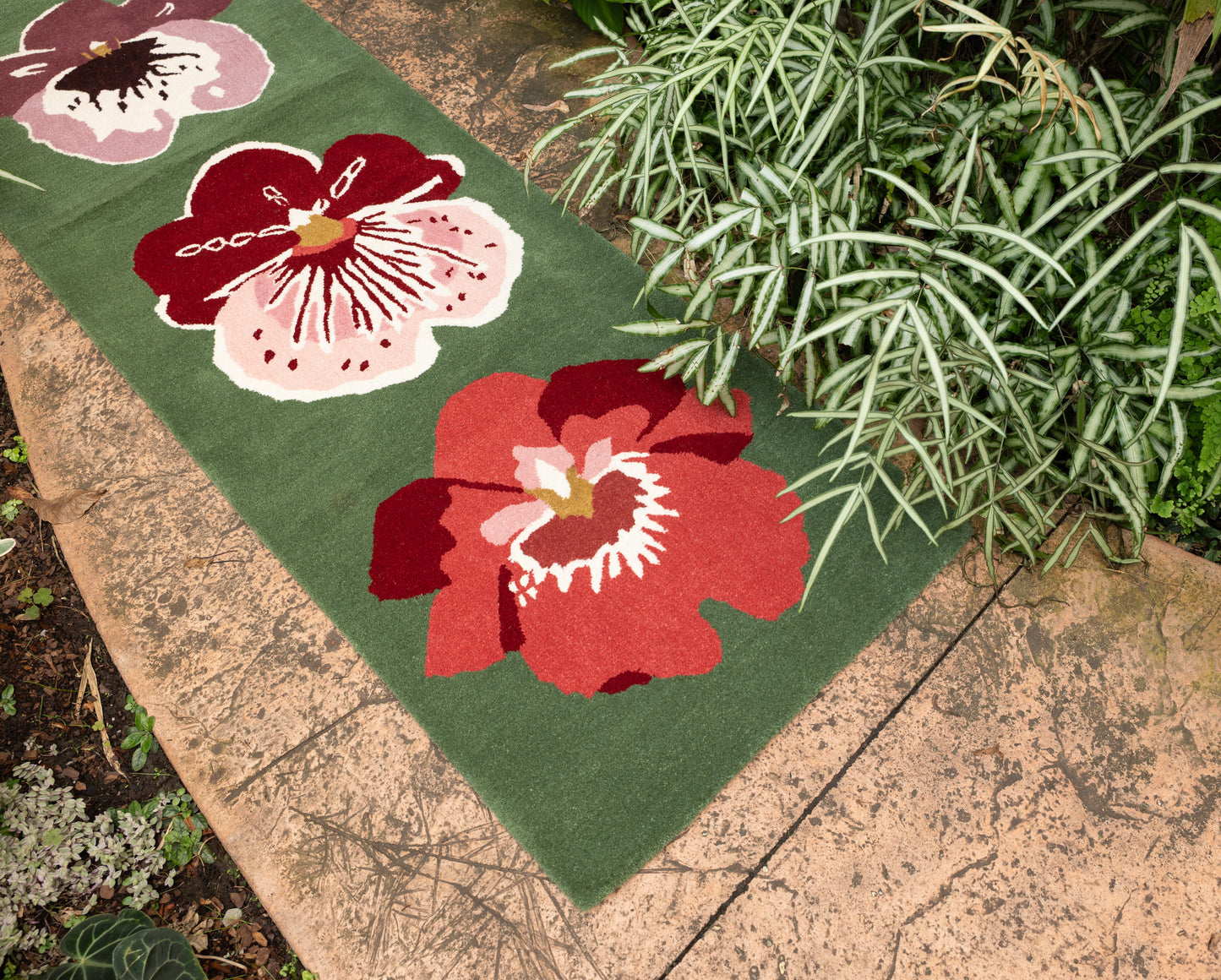 Orchid Runner