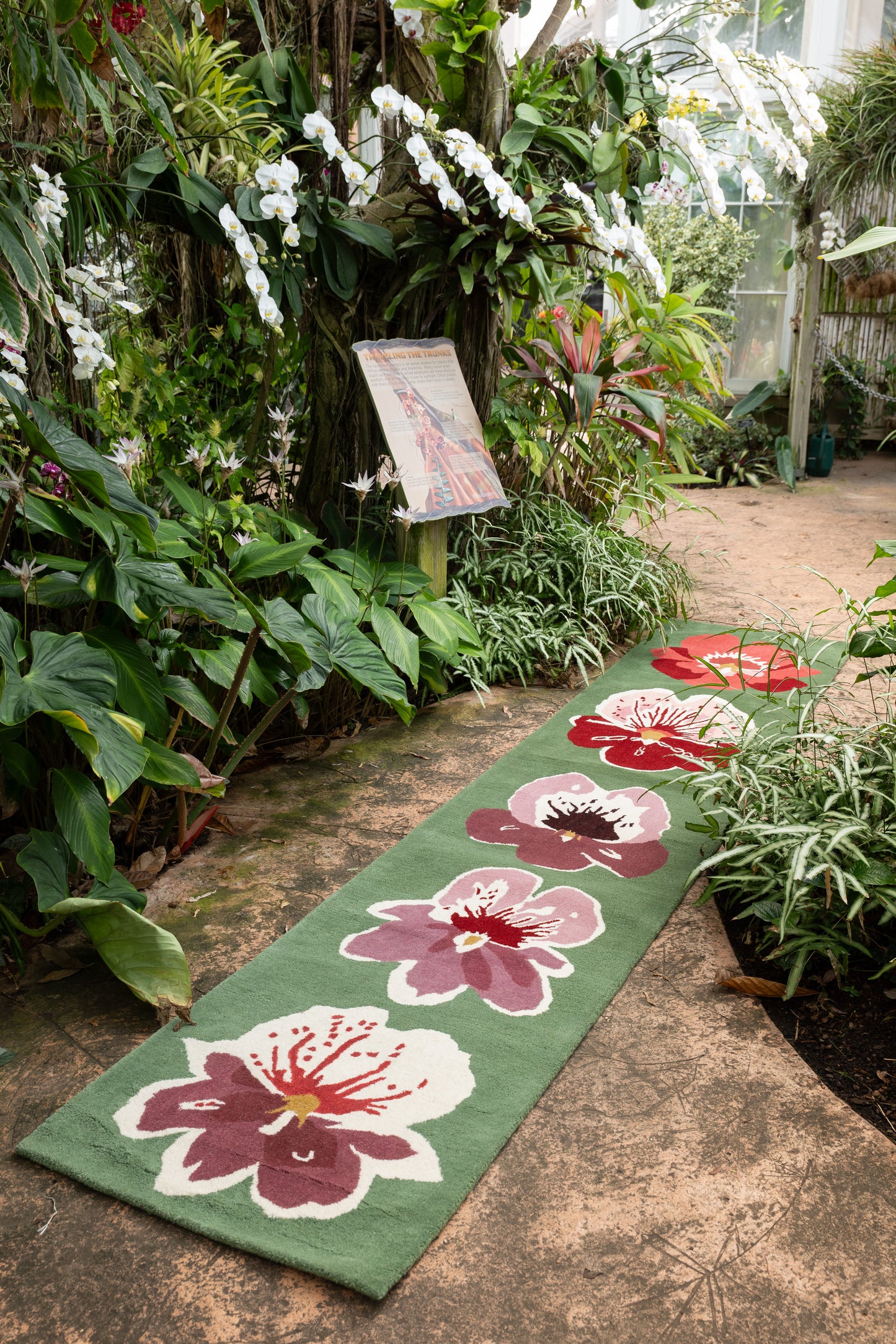 Orchid Runner