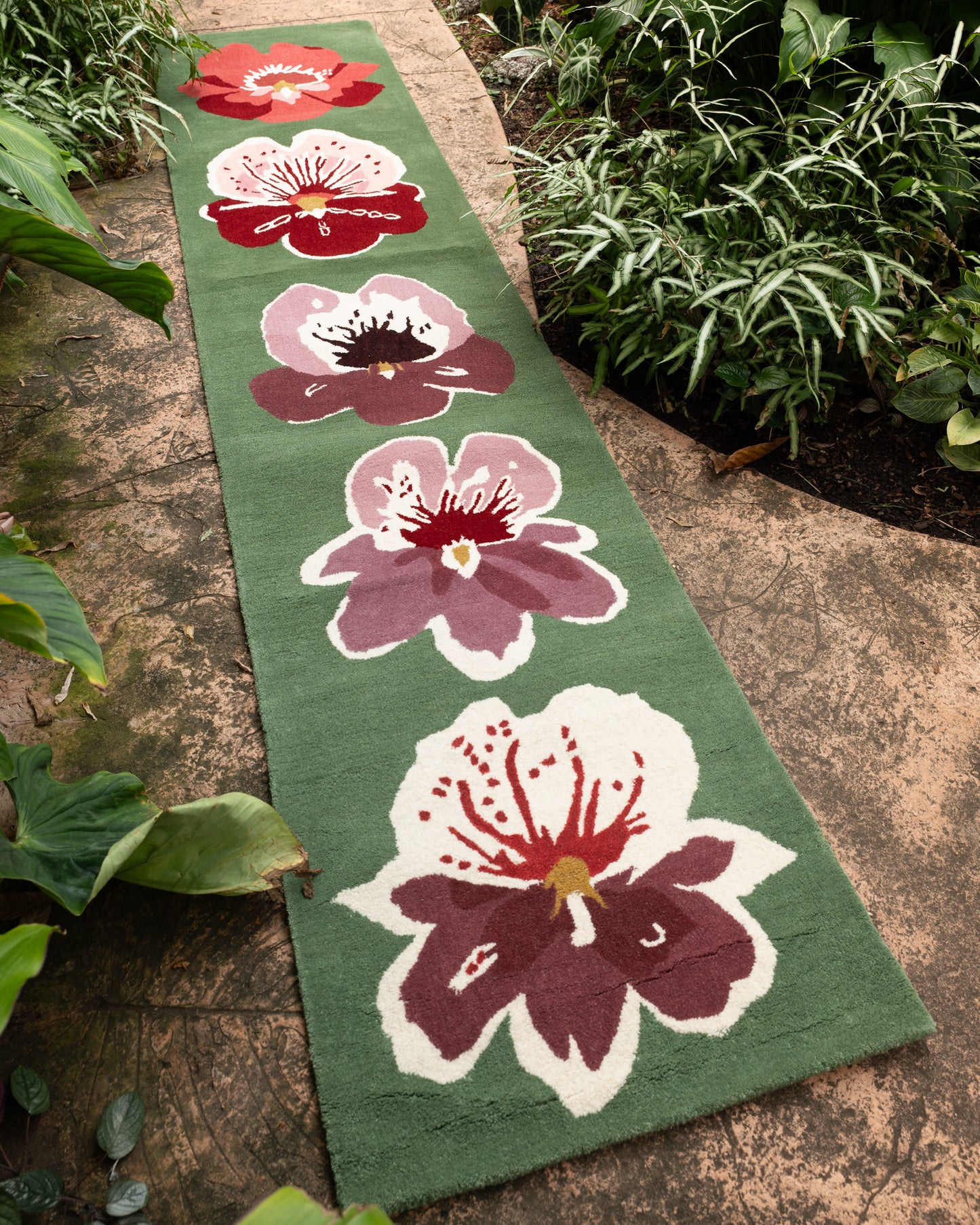 Orchid Runner
