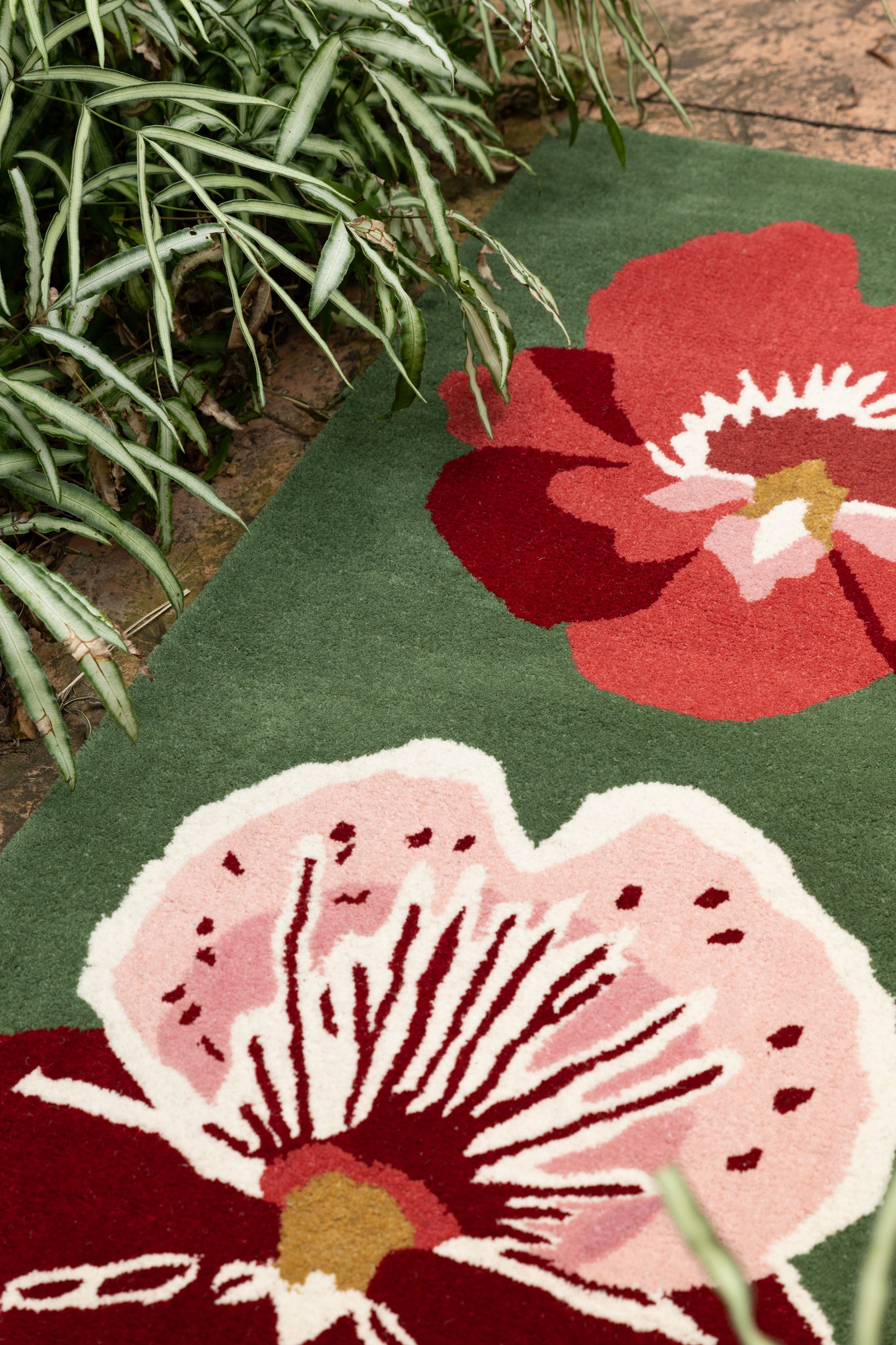 Orchid Runner