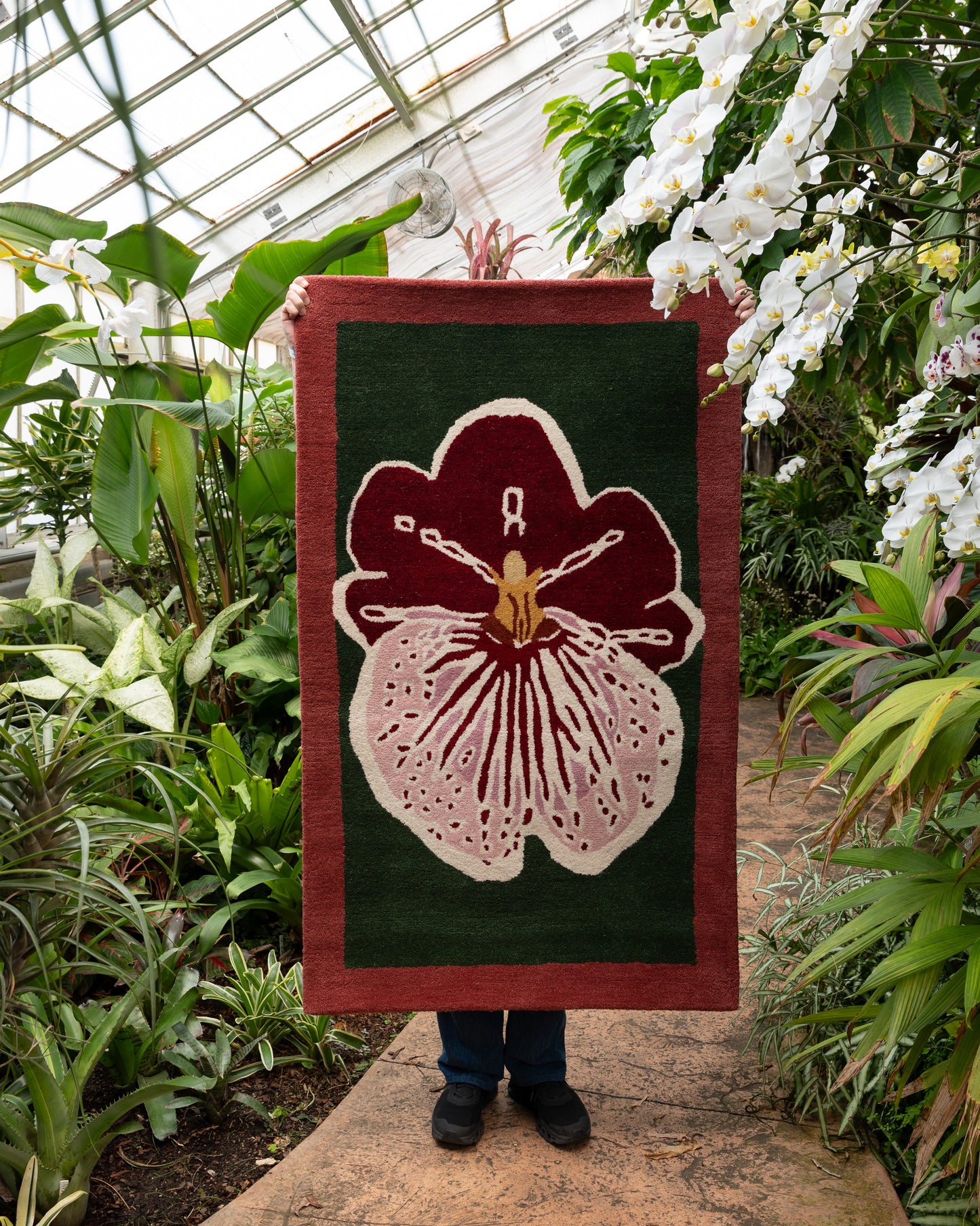 Orchid 1