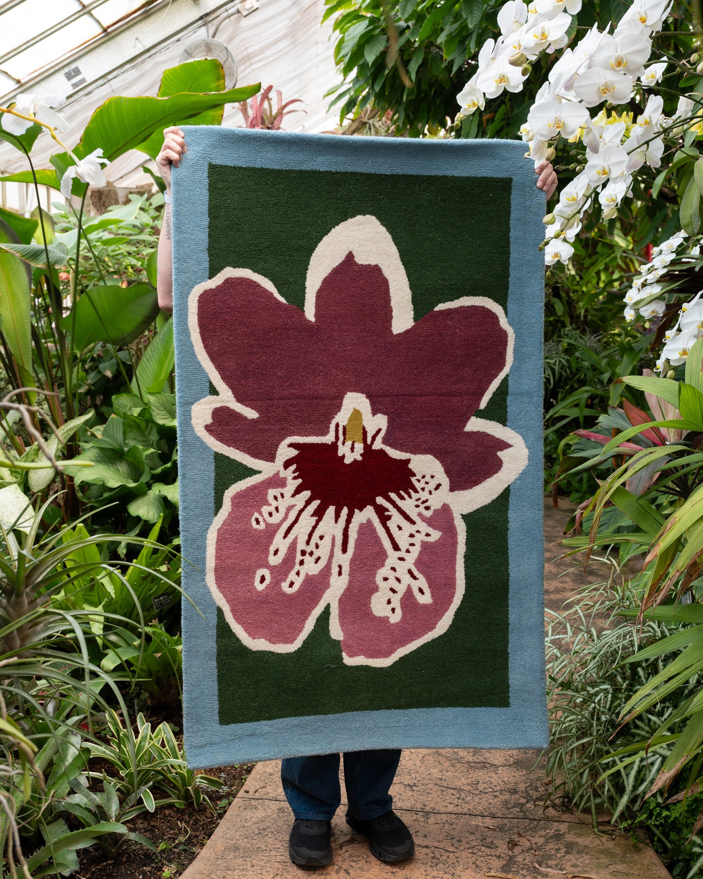 Orchid 4