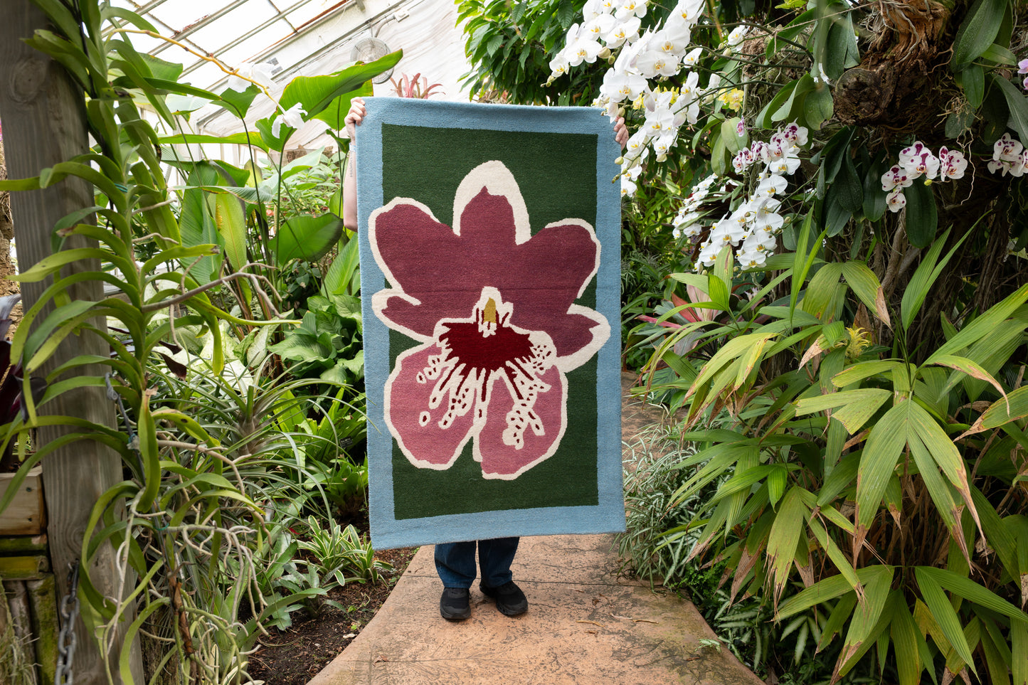Orchid 4