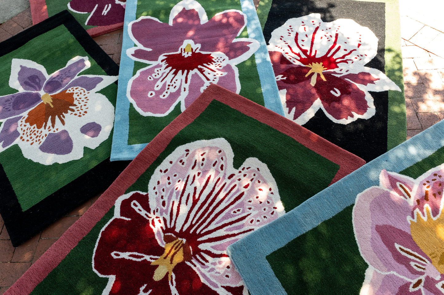 Orchid 1