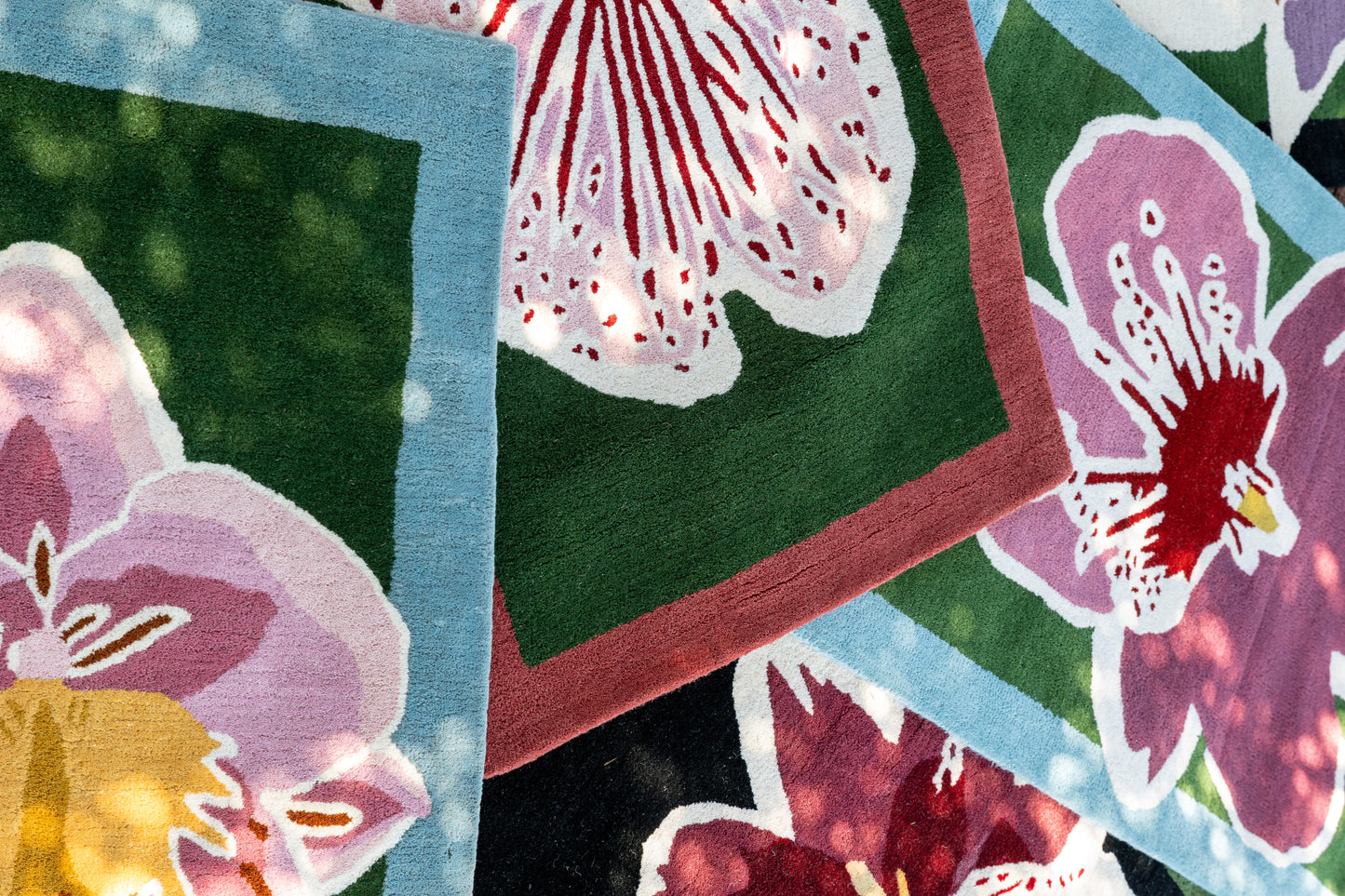 Orchid 1
